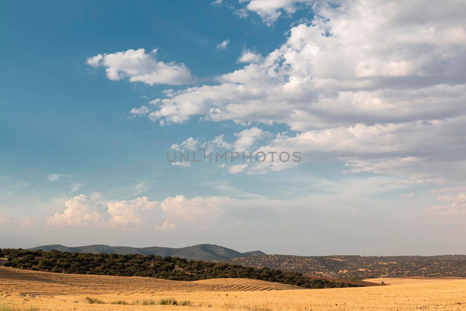 Beautiful couples, fields and landscapes of the Cordoba mountains in Spain. Photograph taken in the month of July.