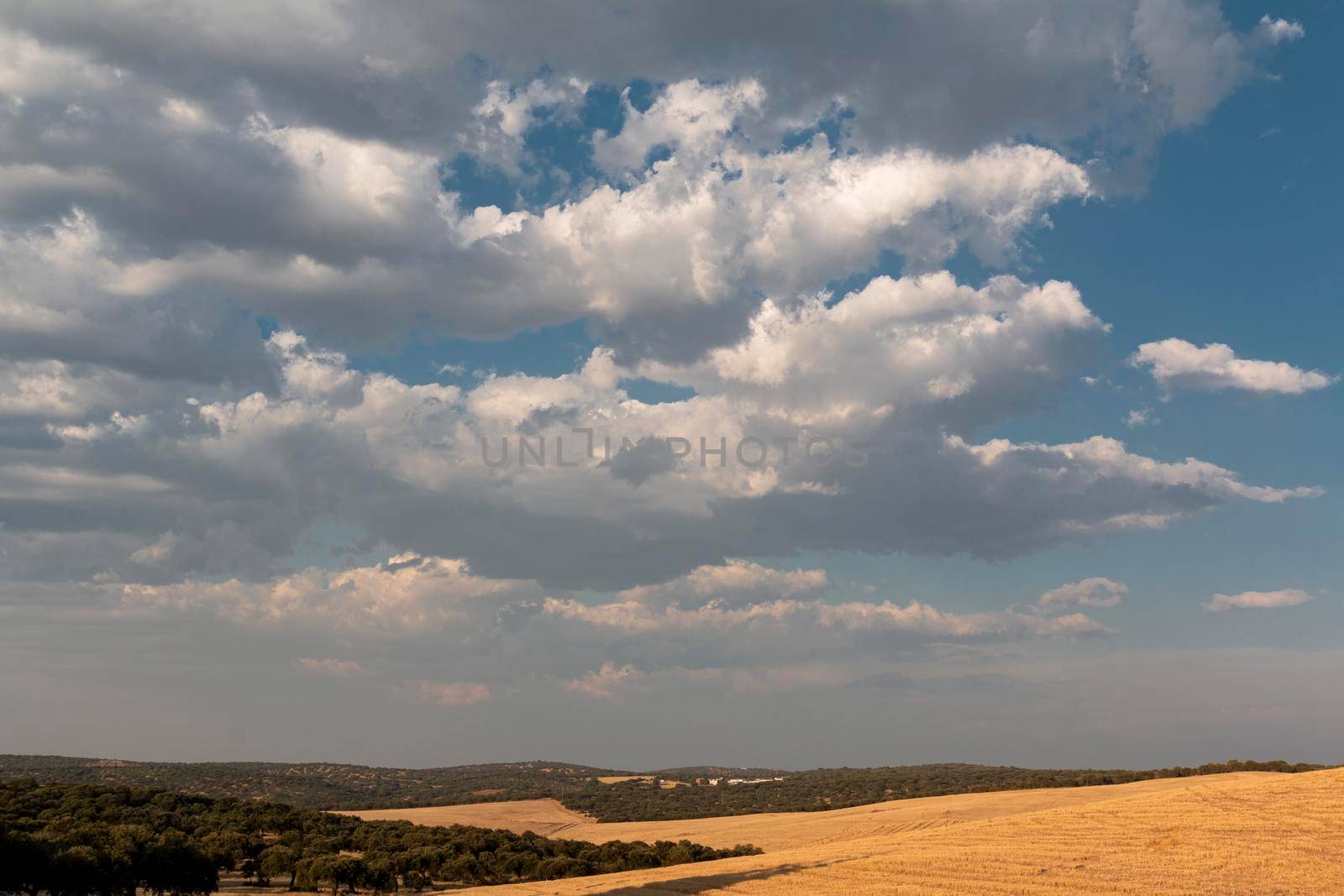 Beautiful couples, fields and landscapes of the Cordoba mountains in Spain. Photograph taken in the month of July.