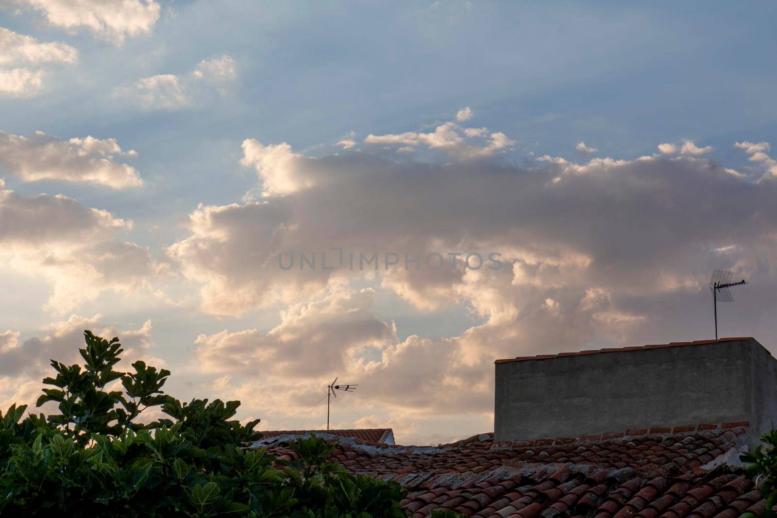 Beautiful couples, fields and landscapes of the Cordoba mountains in Spain. Photograph taken in the month of July.