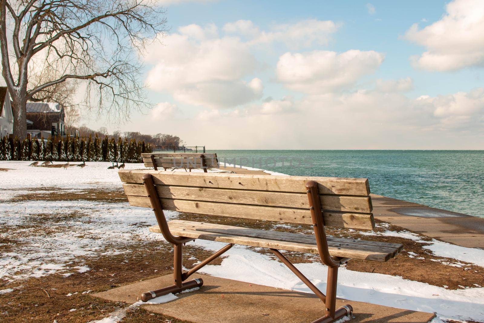 a bench overlooking lake ontario in the community of Niagara on the Lake . High quality photo