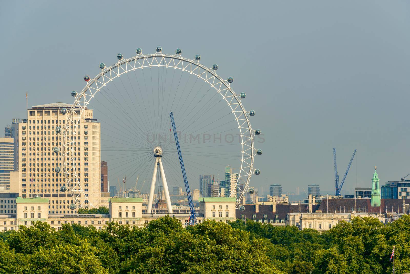 LONDON, UK - CIRCA SEPTEMBER 2013: The London Eye with Green Park in the foreground.