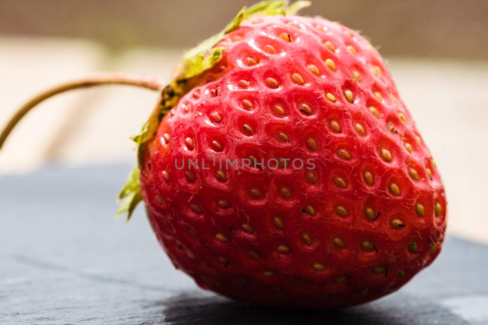 Close up of fresh strawberry showing seeds achenes. Details of a fresh ripe red strawberry.