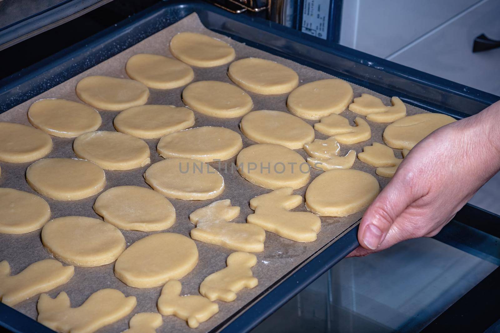 A woman puts a baking tray in the oven with Easter cookies for cooking by Fischeron