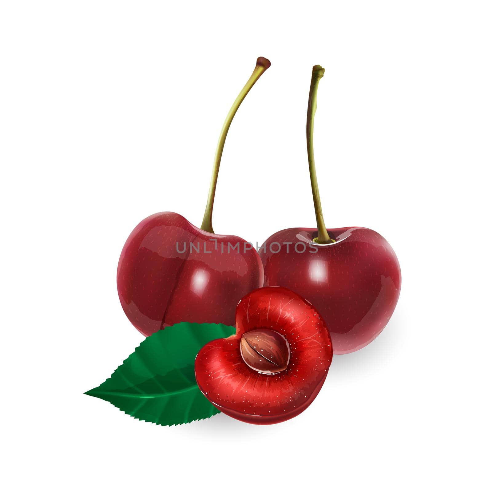 Cherries with stems and a half with pit and a leaf. by ConceptCafe