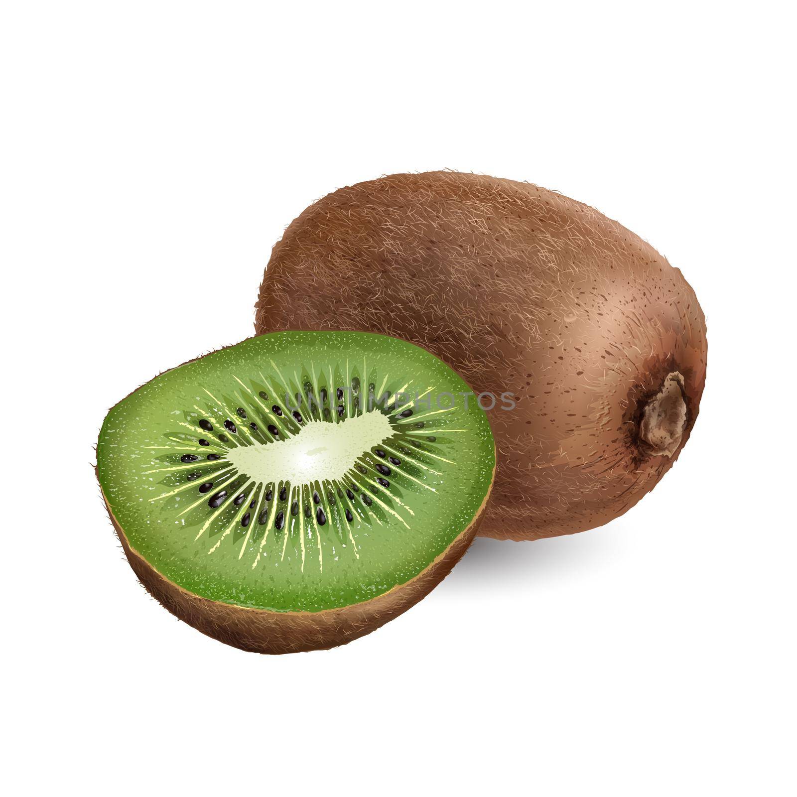 Whole kiwi with a half kiwi on white background. by ConceptCafe