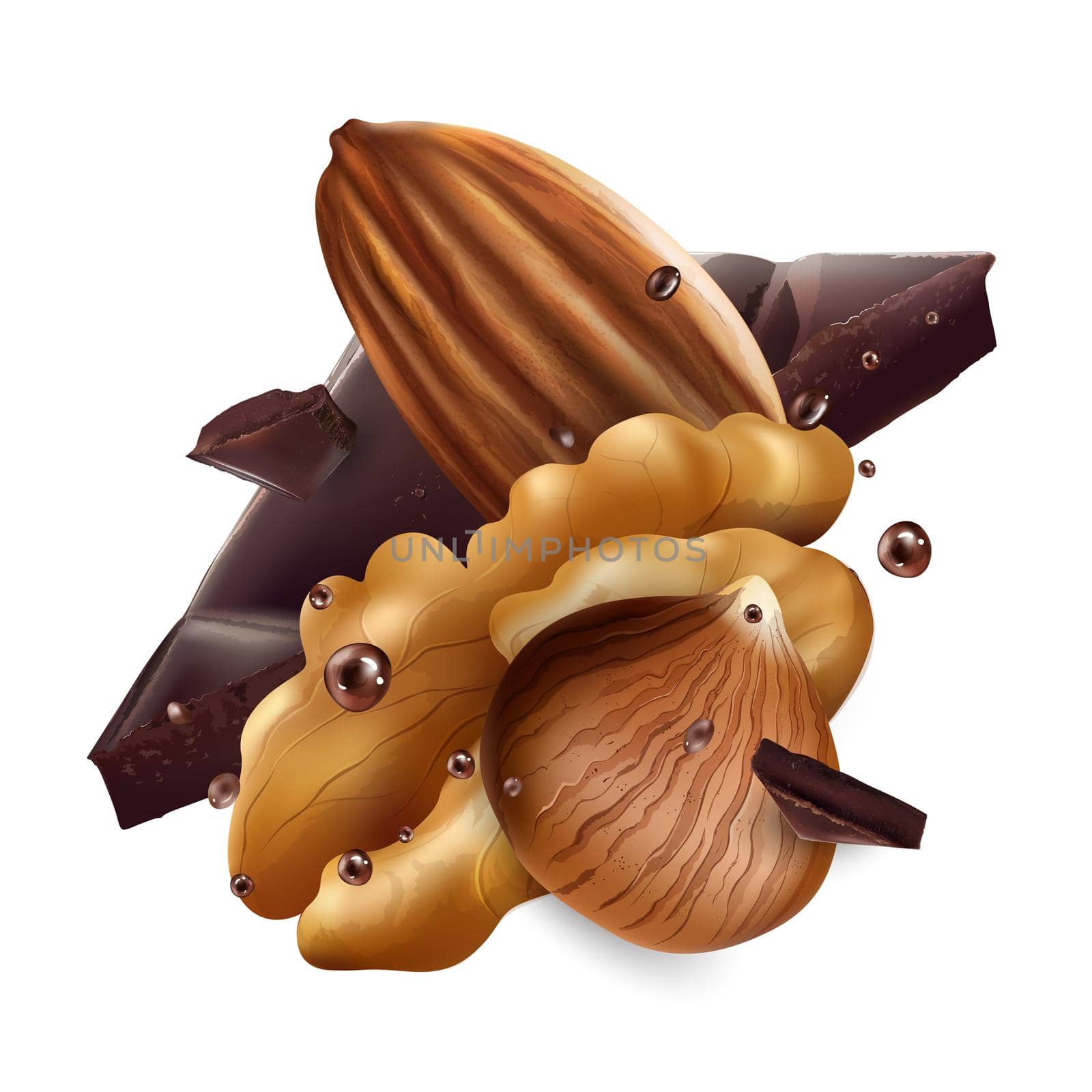 Hazelnuts, almonds, walnuts and pieces of chocolate on a white background. Realistic style illustration.