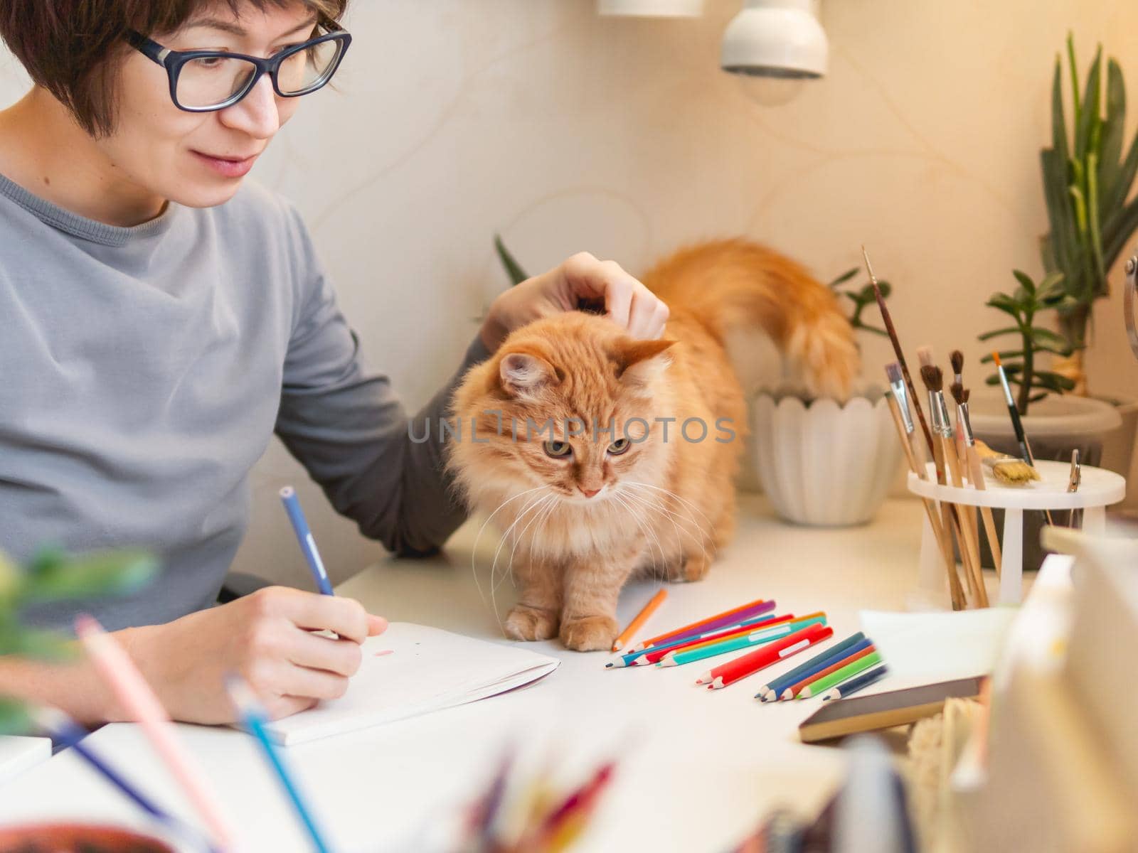 Woman with short hair cut is drawing in notebook. Cute ginger cat sits near her. Fluffy pet and artist. Calming hobby, anti stress leisure. by aksenovko