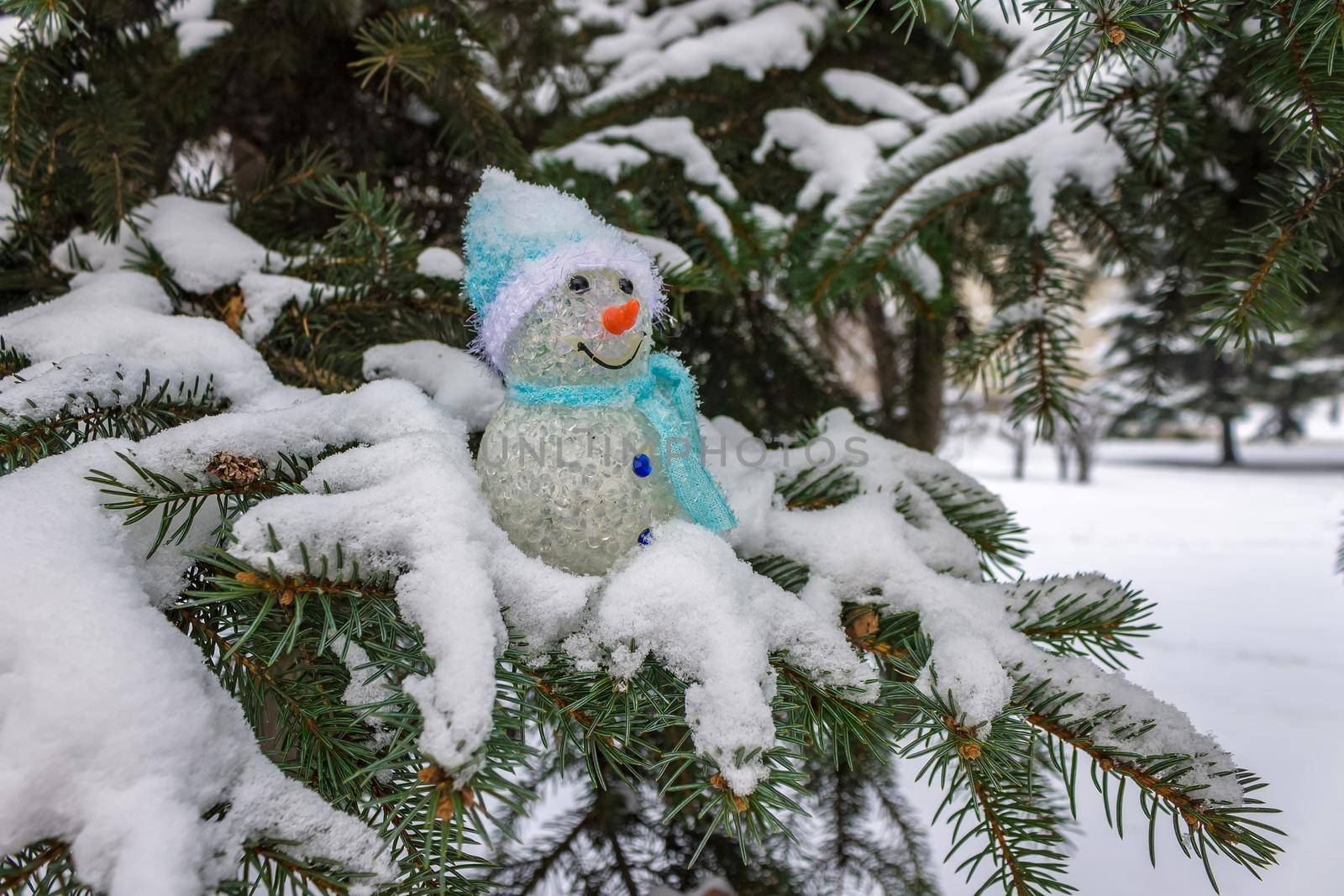 A toy snowman stands on the snow-covered thorny branches of a fir tree in the forest in winter
