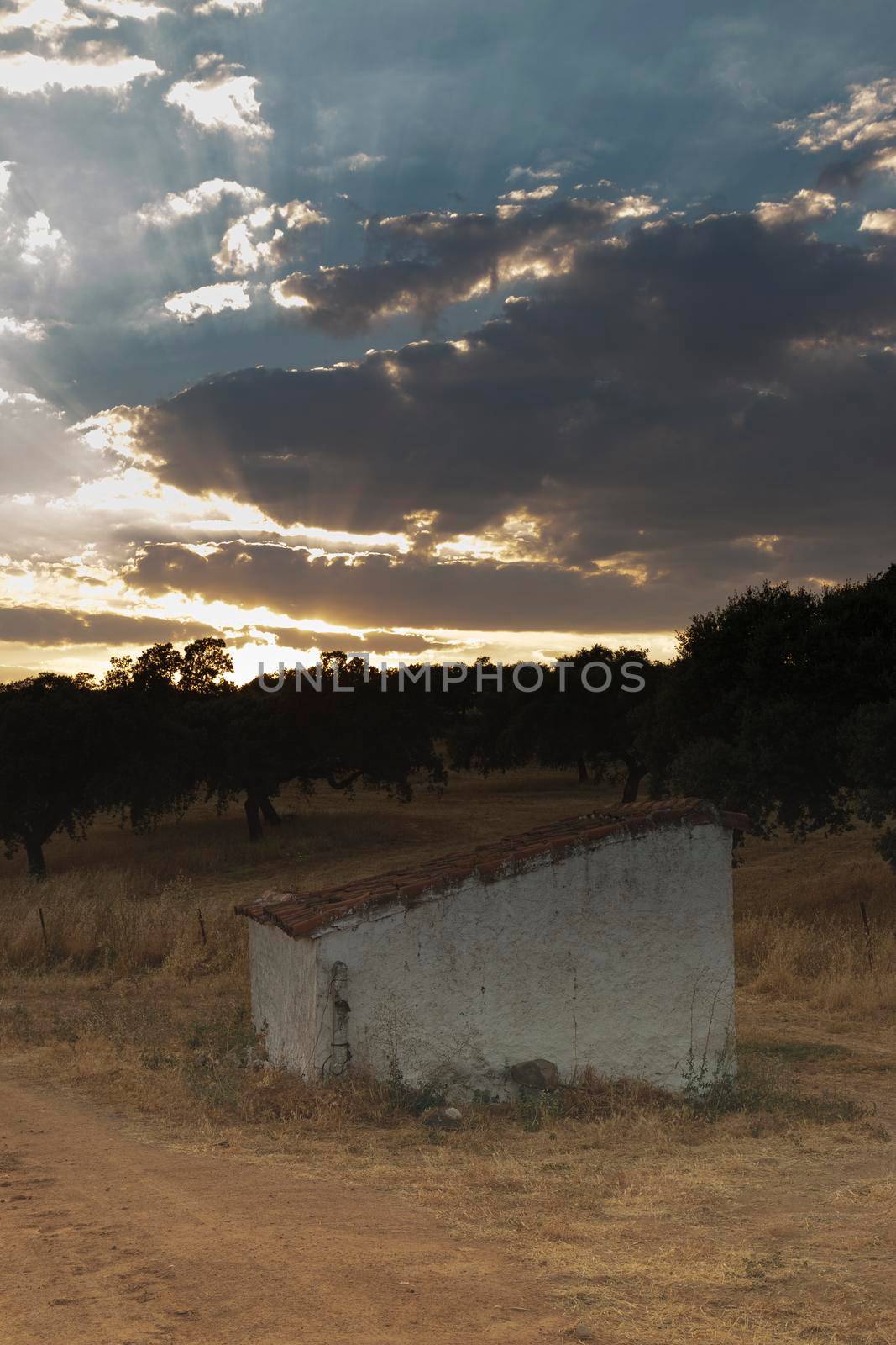 Water well of an old farm in the middle of the countryside of the Sierra of Cordoba Andalusia at sunset