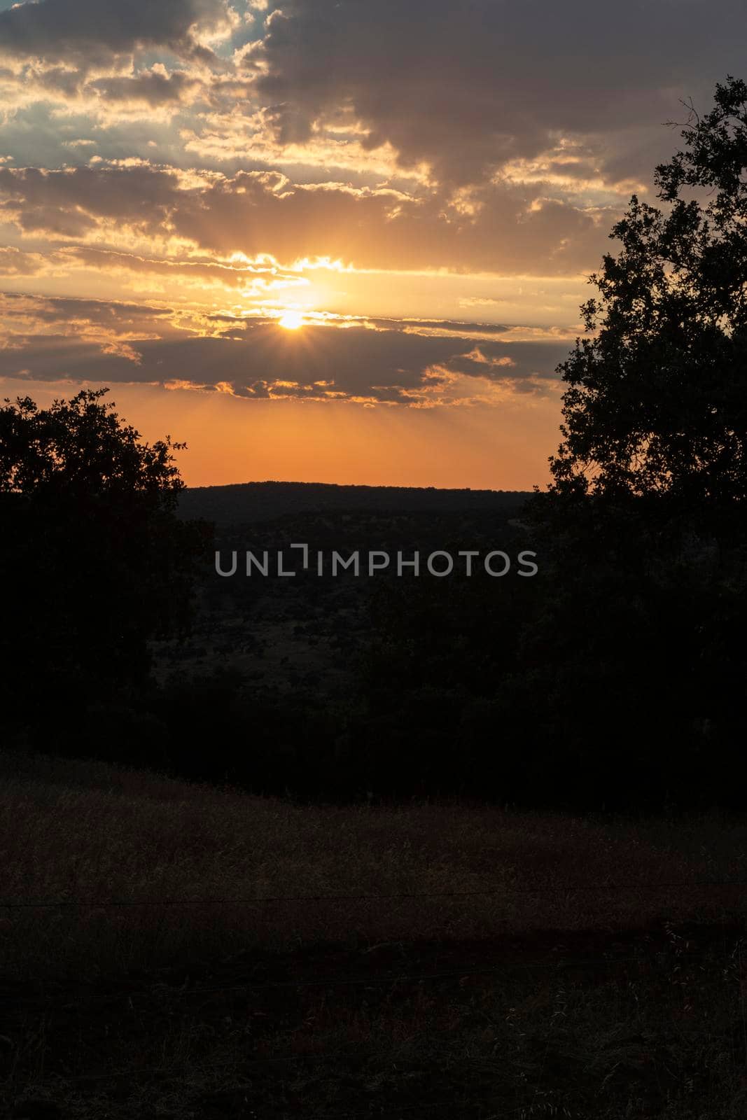 Sunset with vibrant colors in southern Andalusia in Spain by loopneo