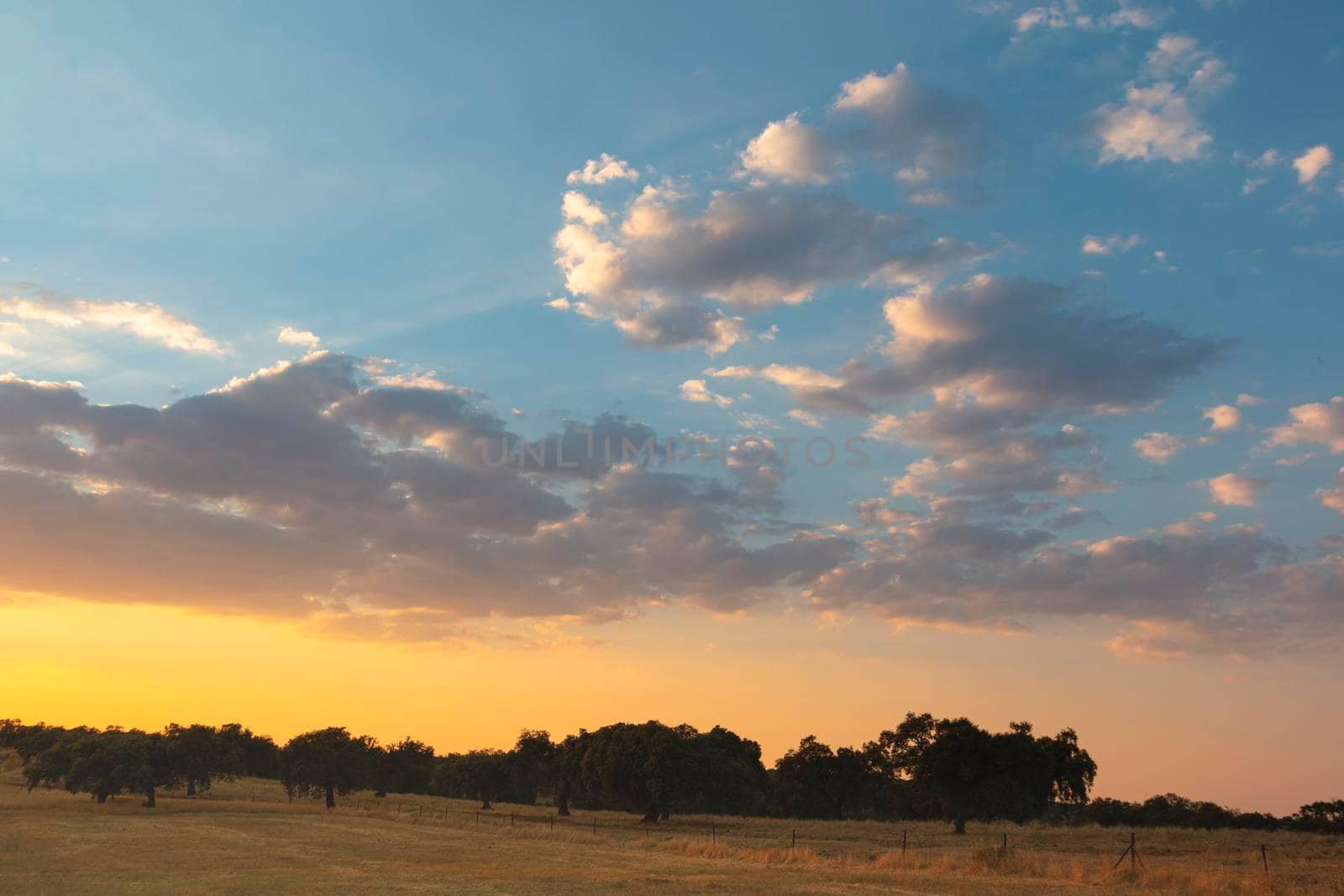 Sunset with vibrant colors in southern Andalusia in Spain by loopneo