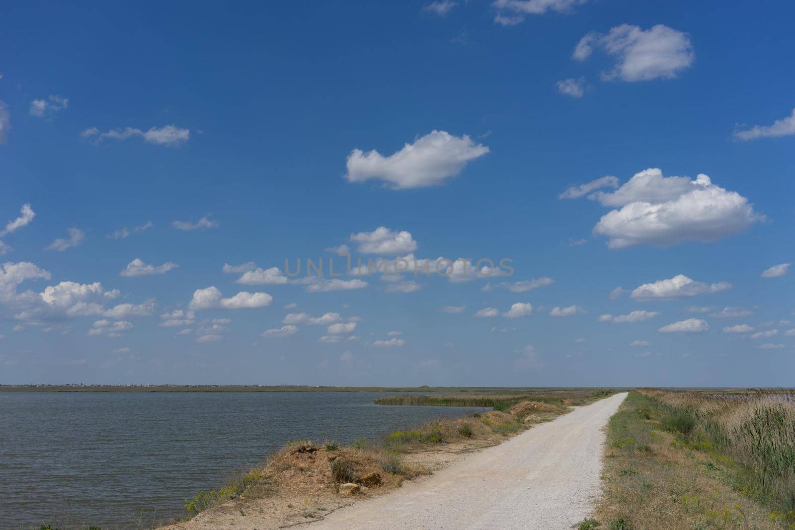 Country road leading along the lake with reeds under the blue sky.