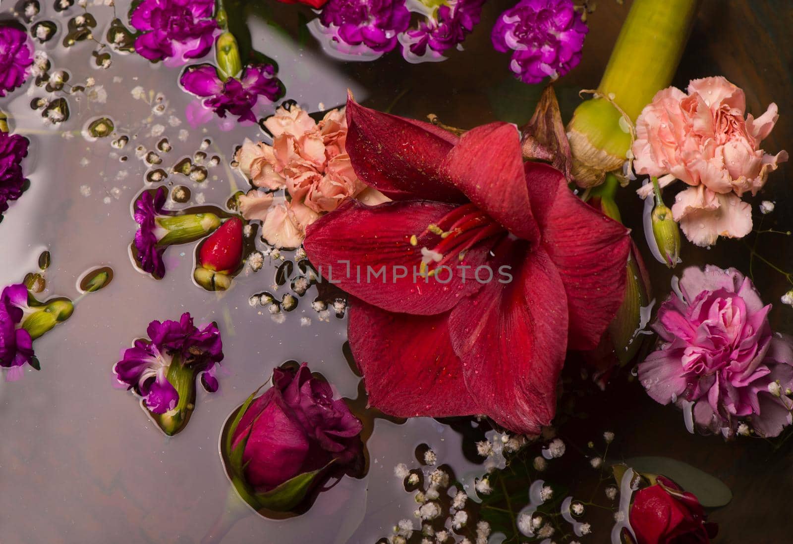 Various flowers on dark vintage background, top view, flat lay by aprilphoto