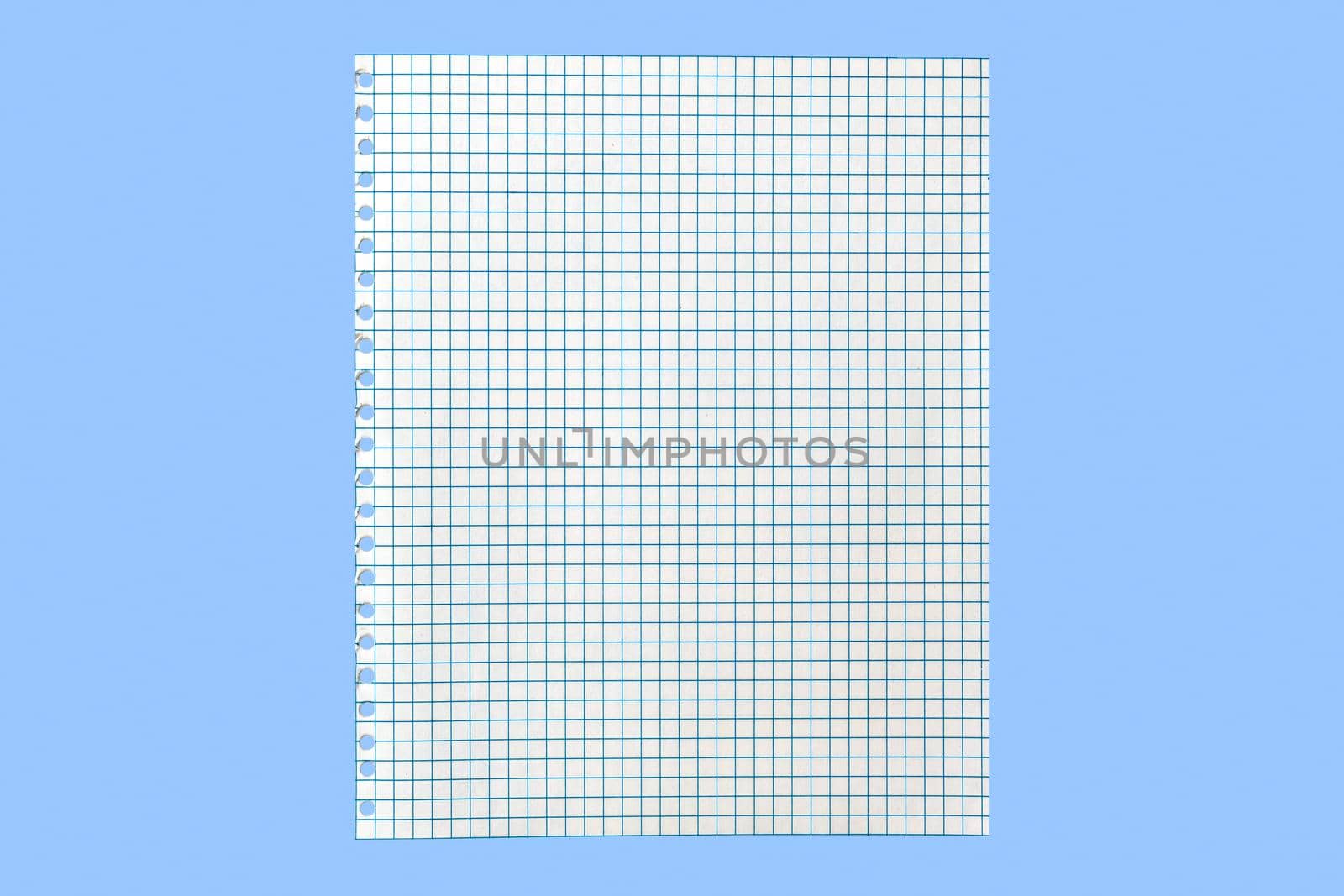 Blank sheet of white paper torn from a school notebook in a cage