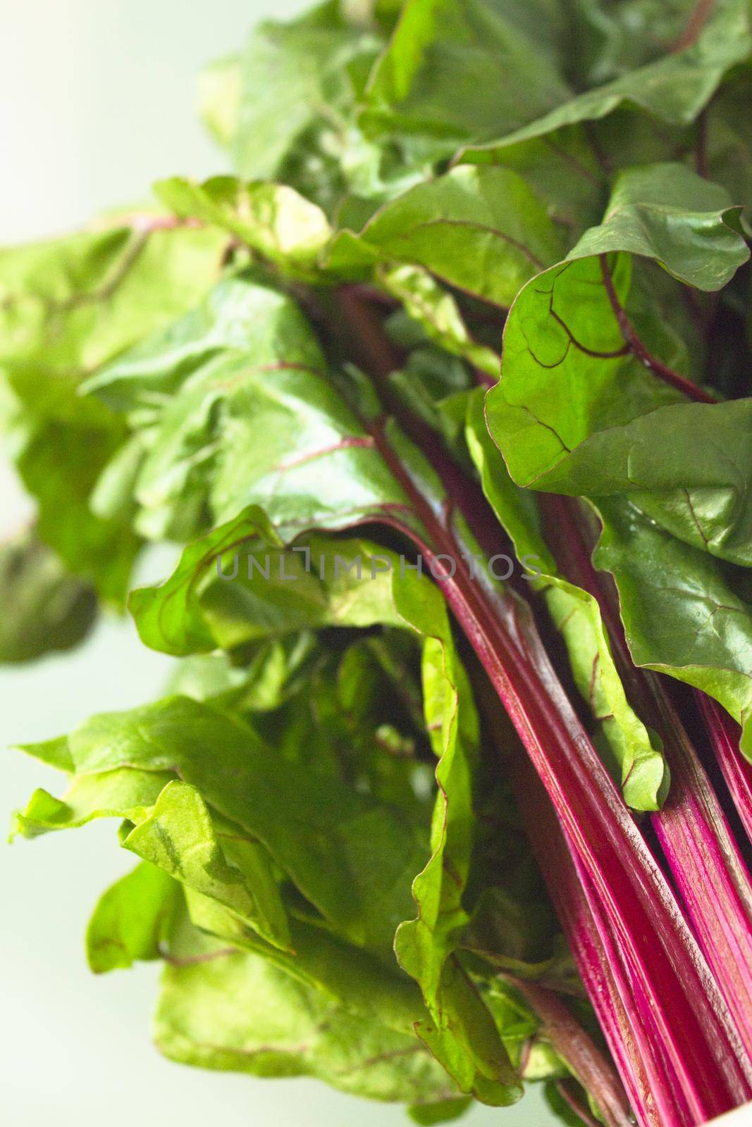 Fresh red chard without cooking. Healthy food for vegetarians and vegans