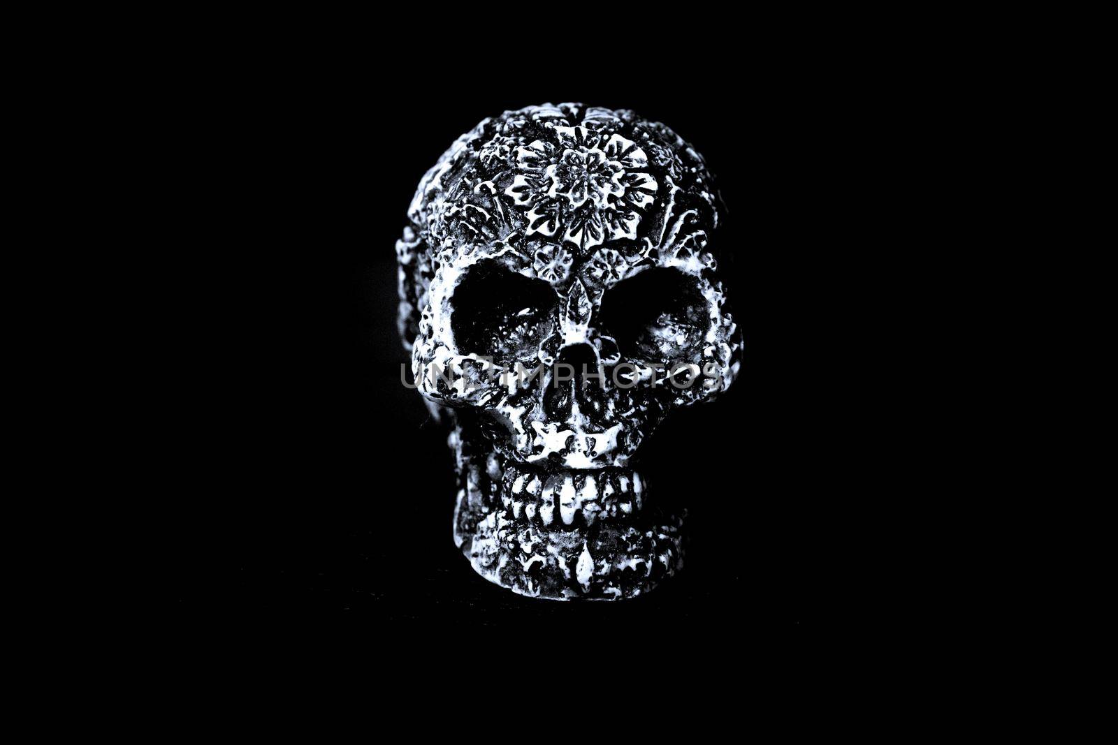 False bone skull on black background. Copy space