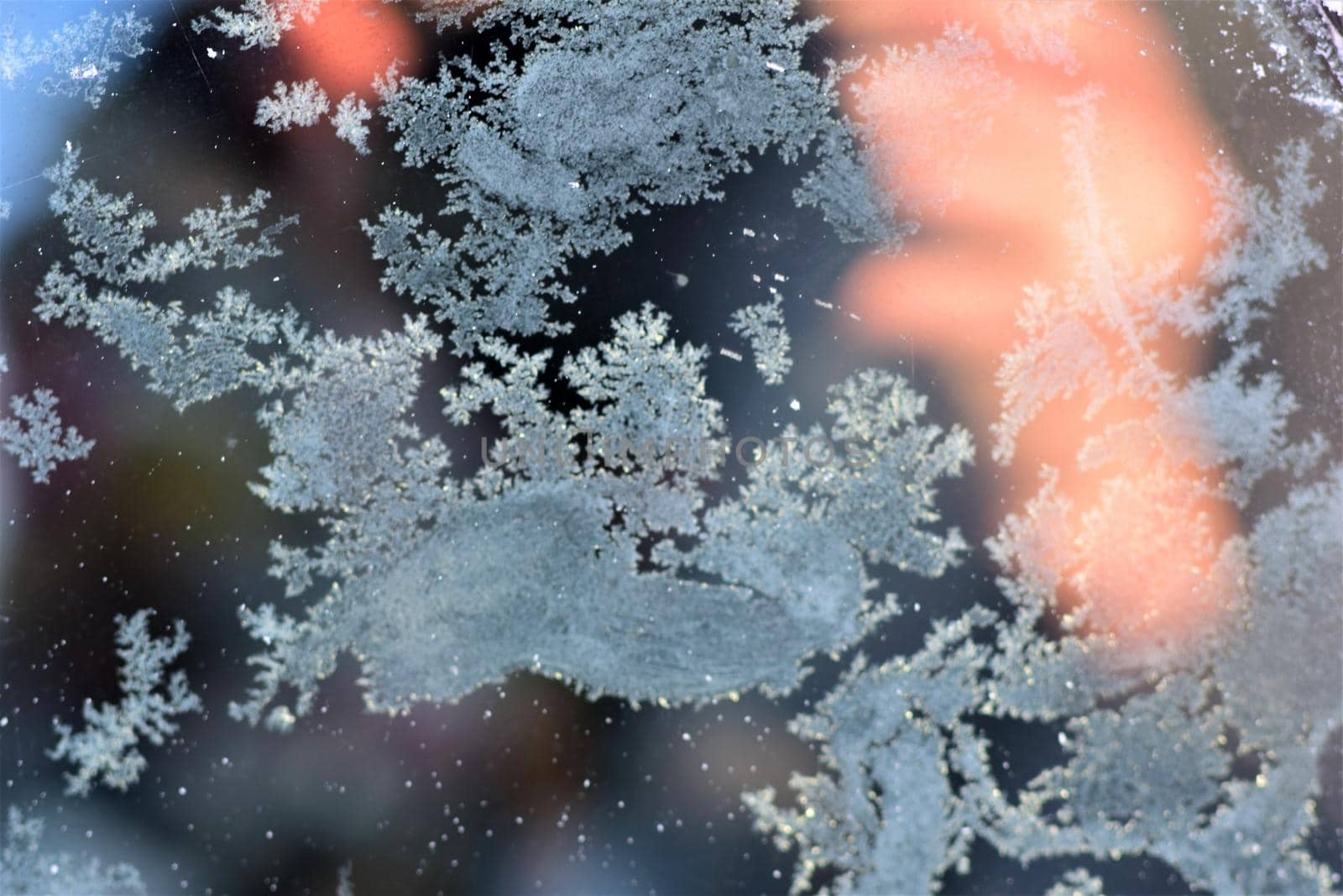 Texture as a frosty pattern on a window glass as a close-up