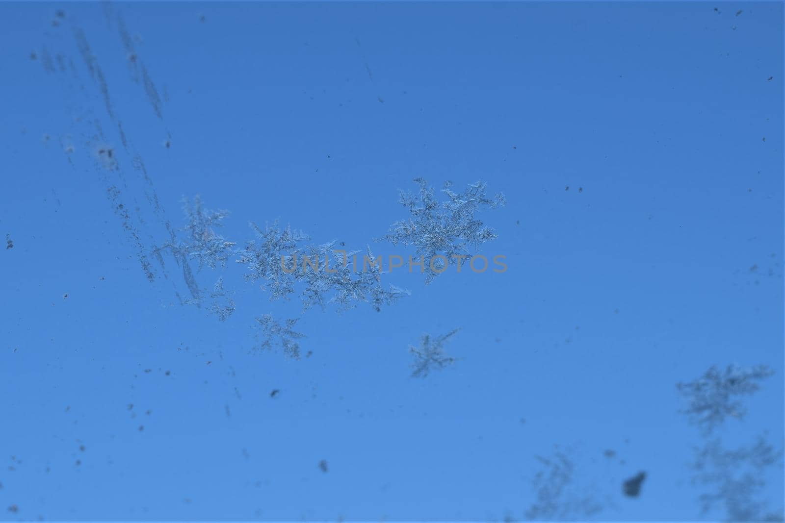 Texture as a frosty pattern on a window glass as a close-up
