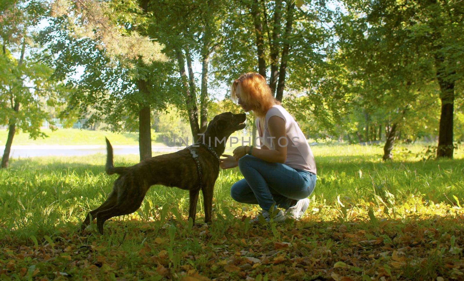 Young smiling woman taking free time with her dog