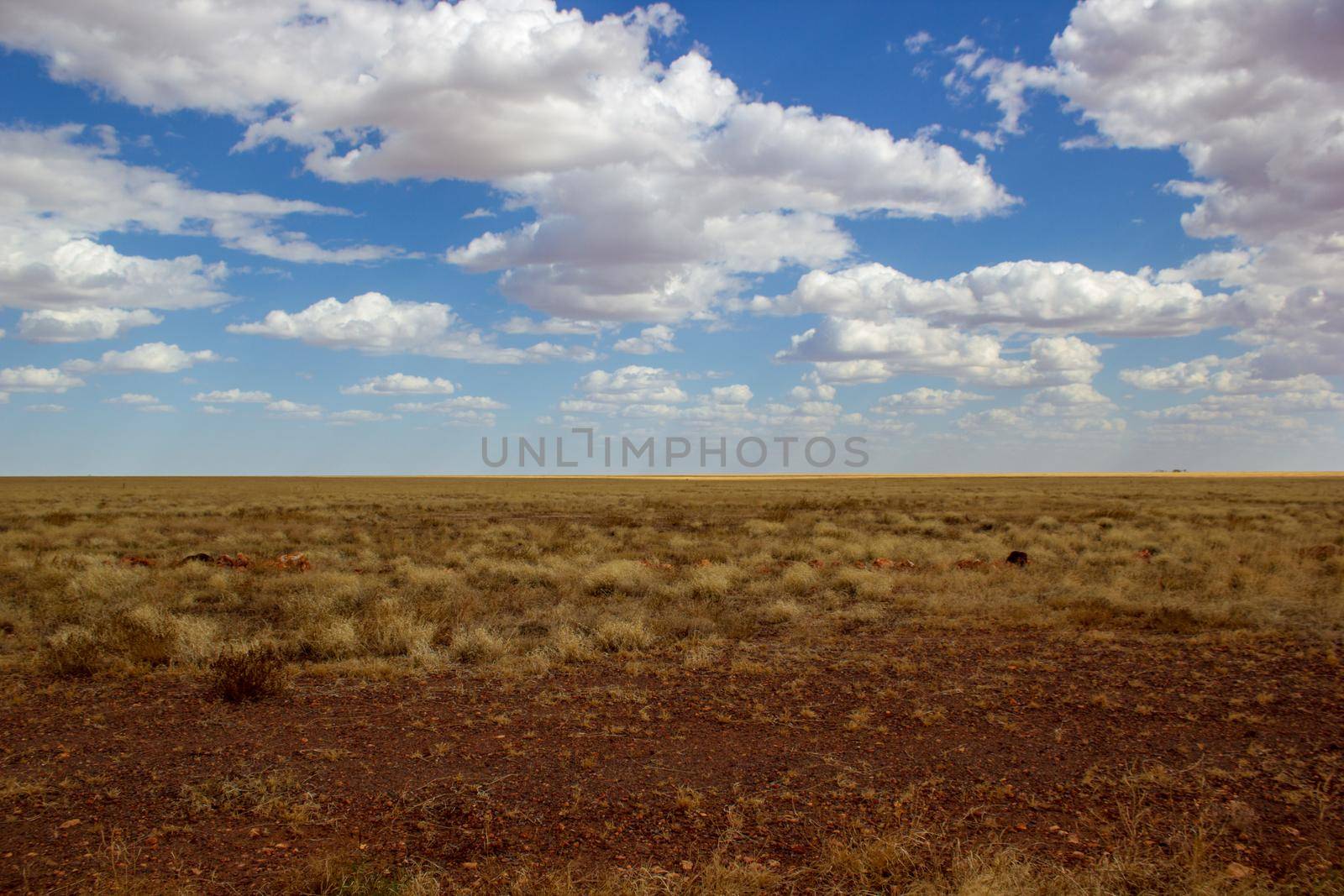flat plain area in Australia's outback in the Northern Territory, Australia by bettercallcurry