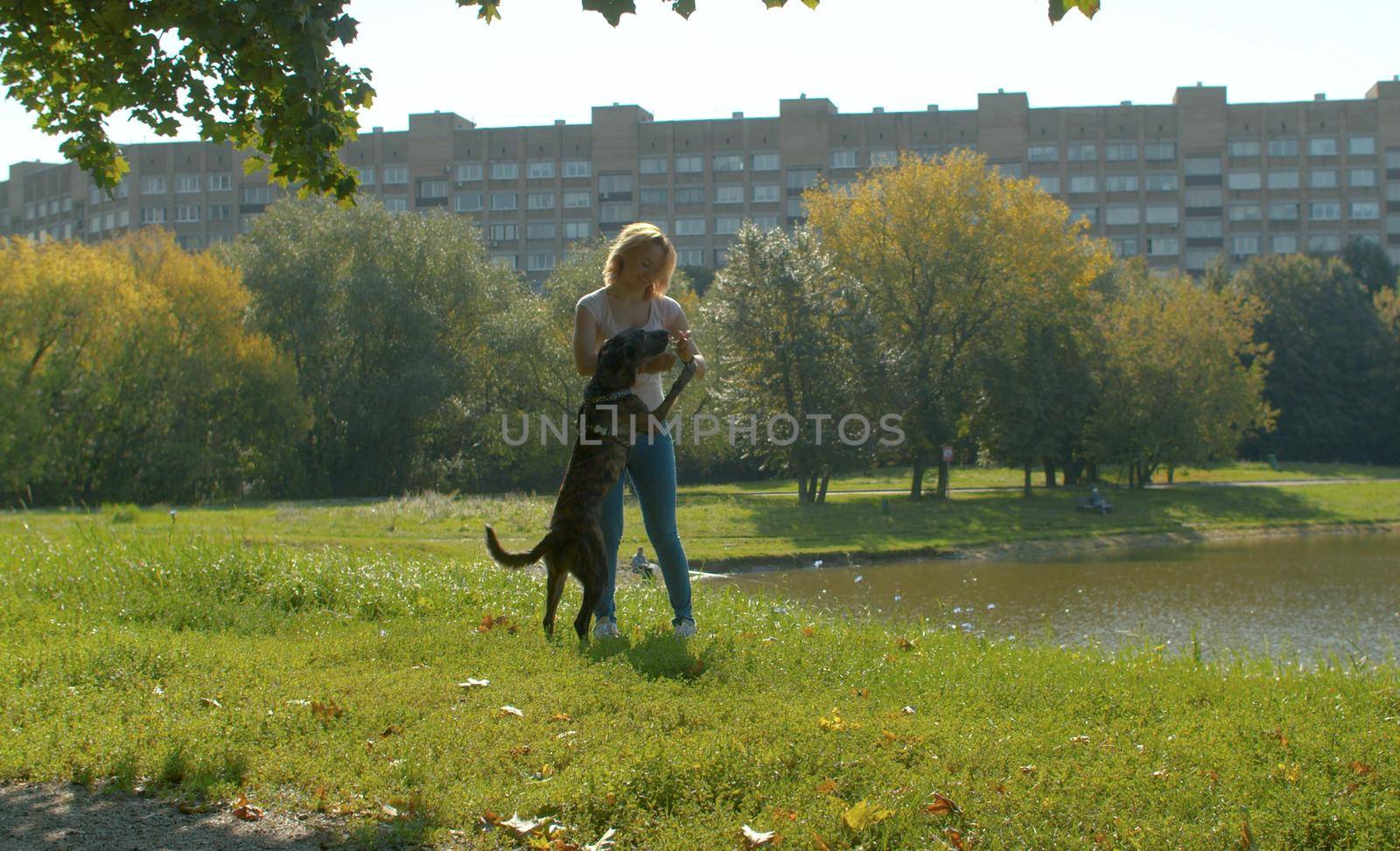 Young woman playing with the dog in the park. Dog standing on its hind legs.