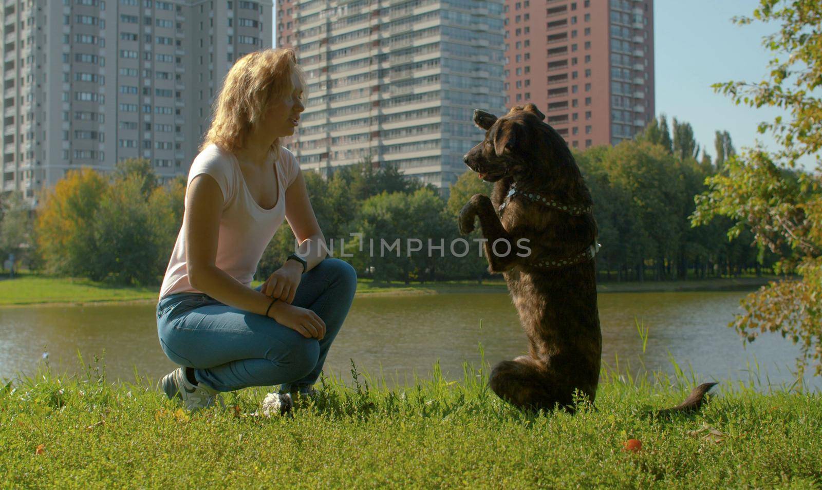 Two friends - attractive young lady and the dog in the park. Dog sitting down on its hind legs.