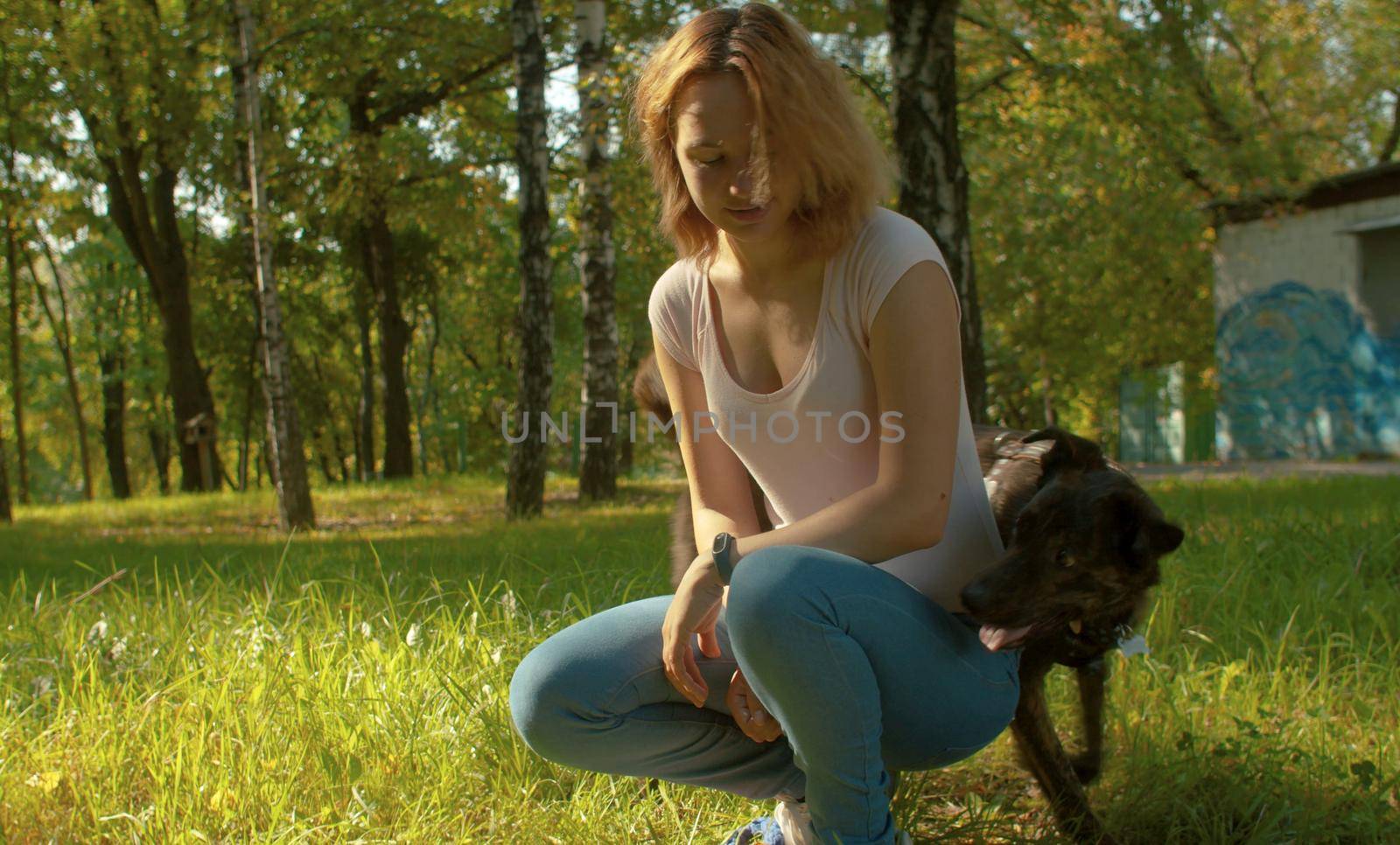 Clever good dog playing with its owner. Young beautiful woman with her dog in the park