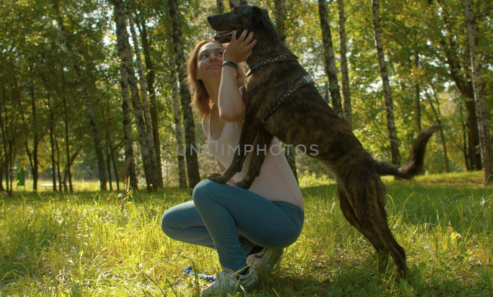 Dog and its owner sitting in the park. Dog place its front paws on the woman's knees
