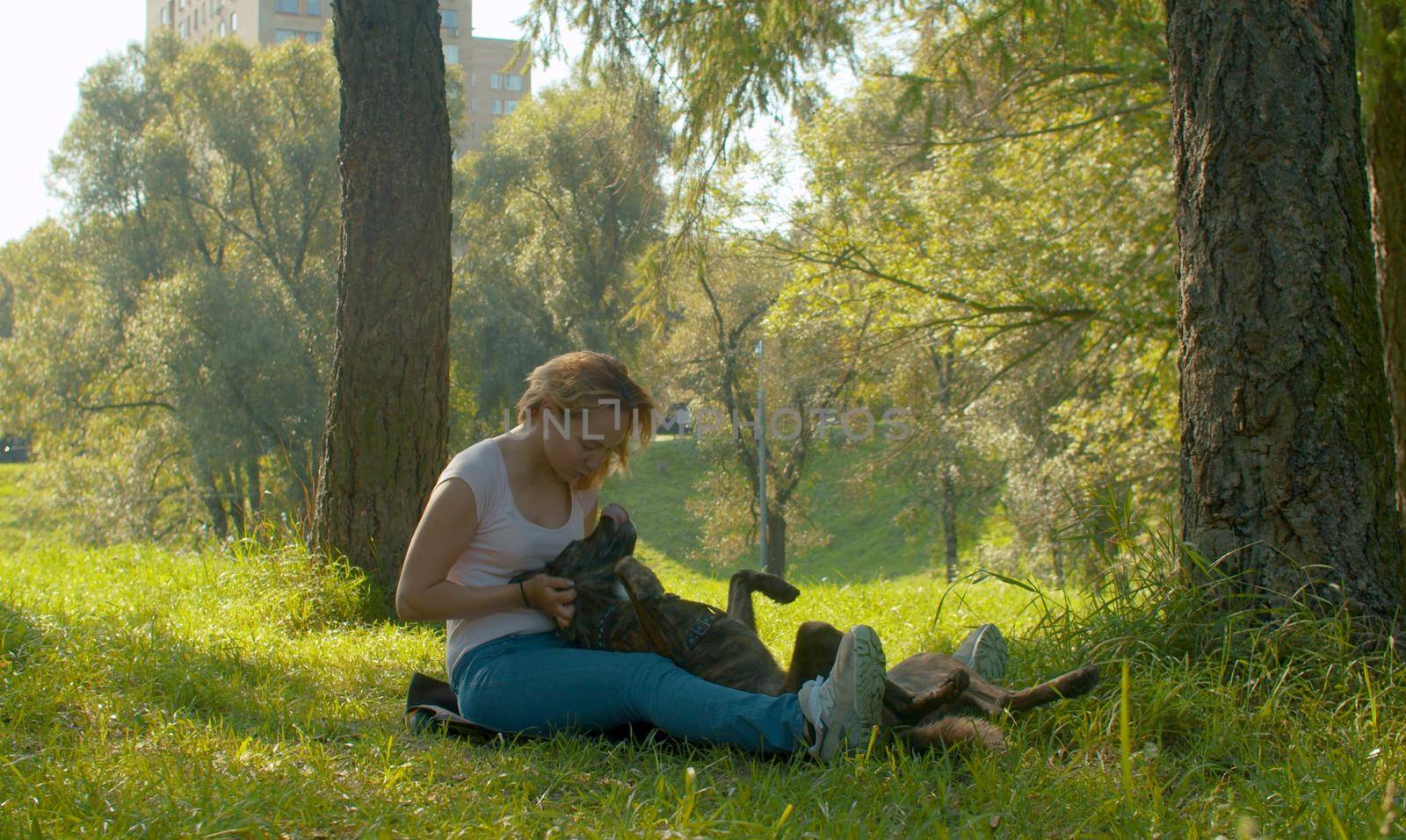 Young attractive lady and her dog on the stroll in the park. Woman stroking and scratching the dog. The dog lies on the grass and has fun