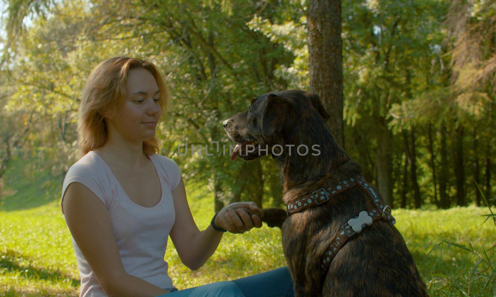 Friendly handshake. Young attractive lady and her dog on the stroll in the park.