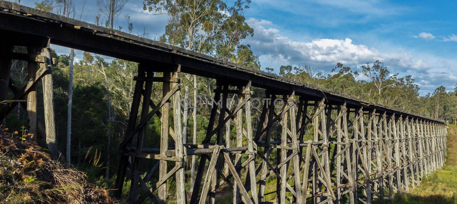 view over the Noojee Trestle bridge, Gippsland, Victoria, Australia by bettercallcurry