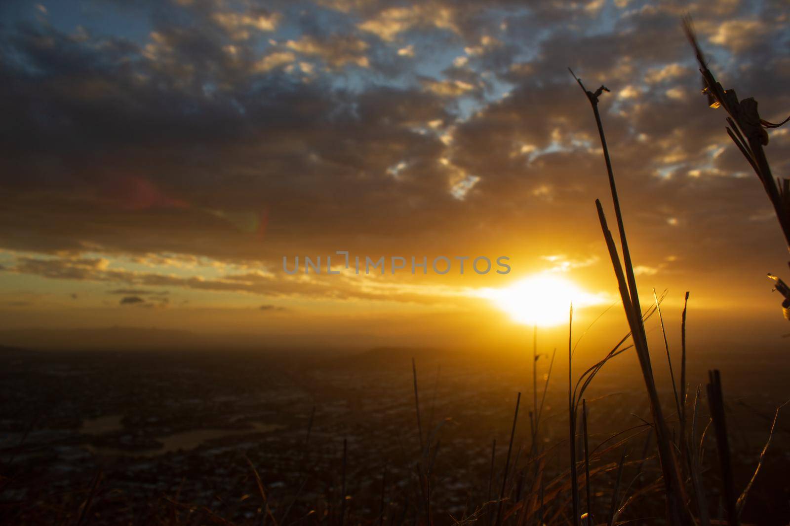 gras in front of a sunset view of Townsville, Castle Hill, Queensland, Australia by bettercallcurry