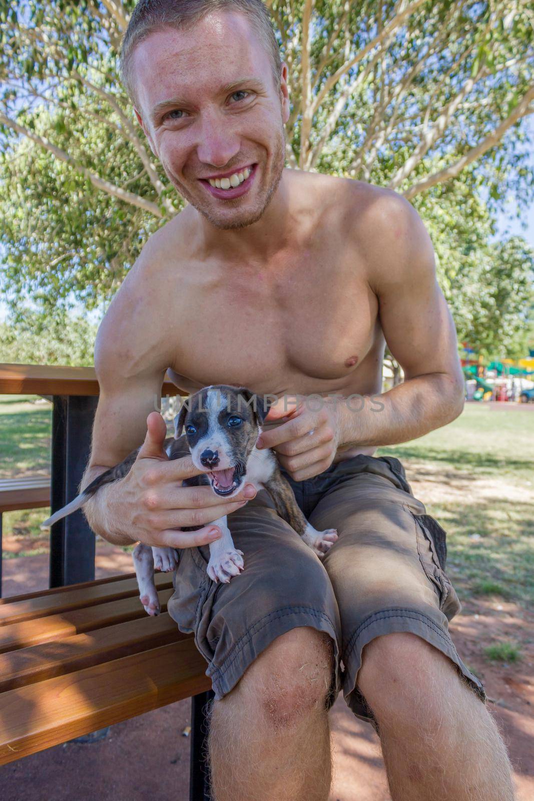 cute puppy sitting on girls leg, broome australia by bettercallcurry
