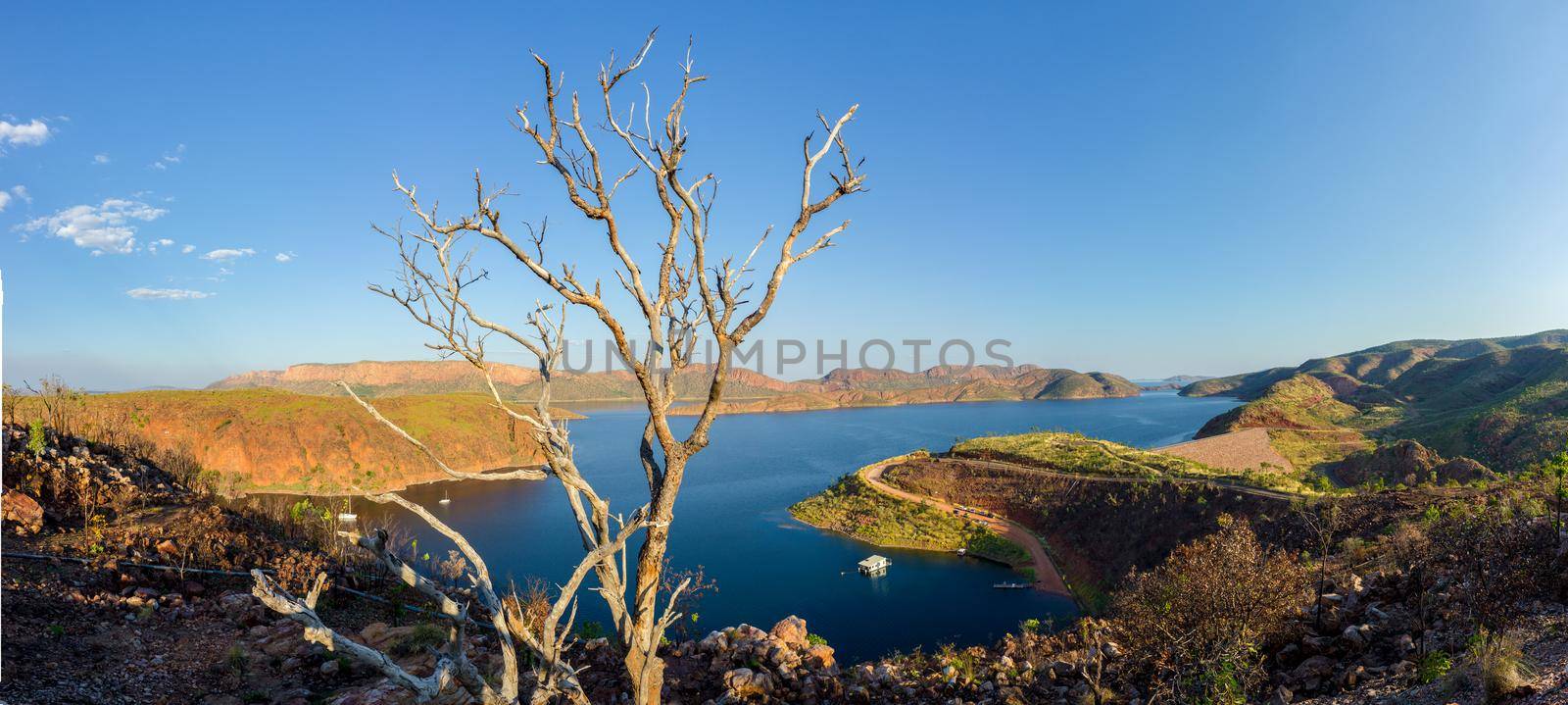 dead tree in front of Lake Argyle is Western Australia's largest man-made reservoir by volume. near the East Kimberley town of Ku by bettercallcurry