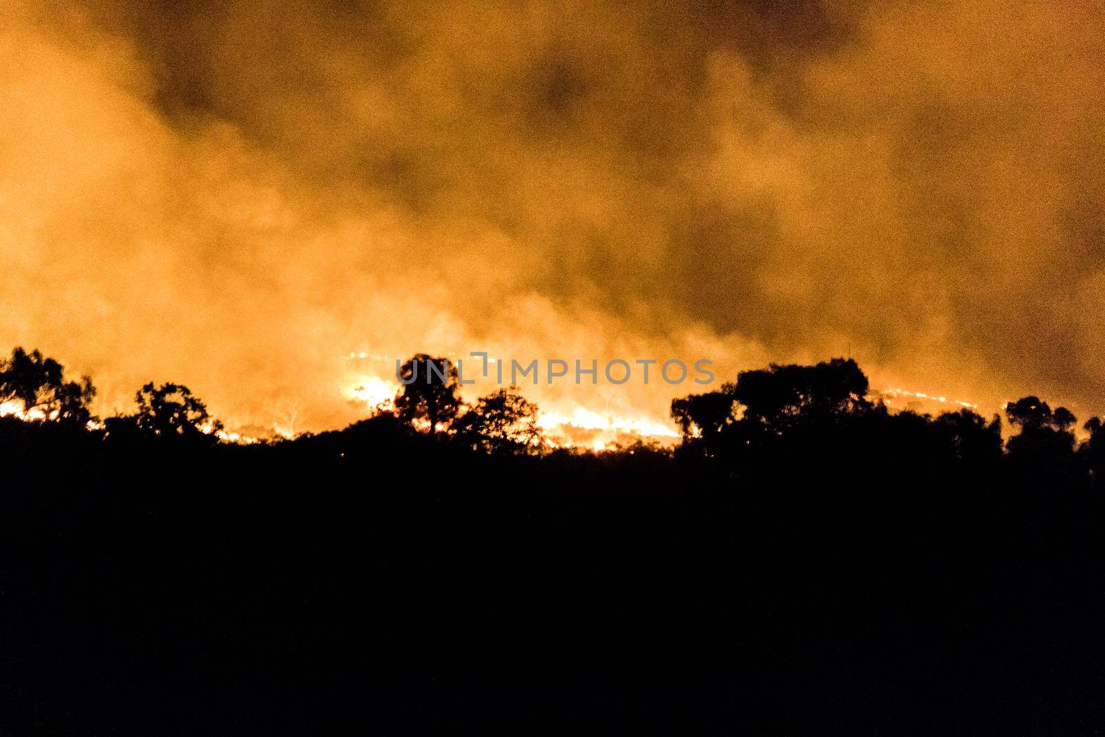 australian bushfire of a forrest at Night in the nothern territory by bettercallcurry