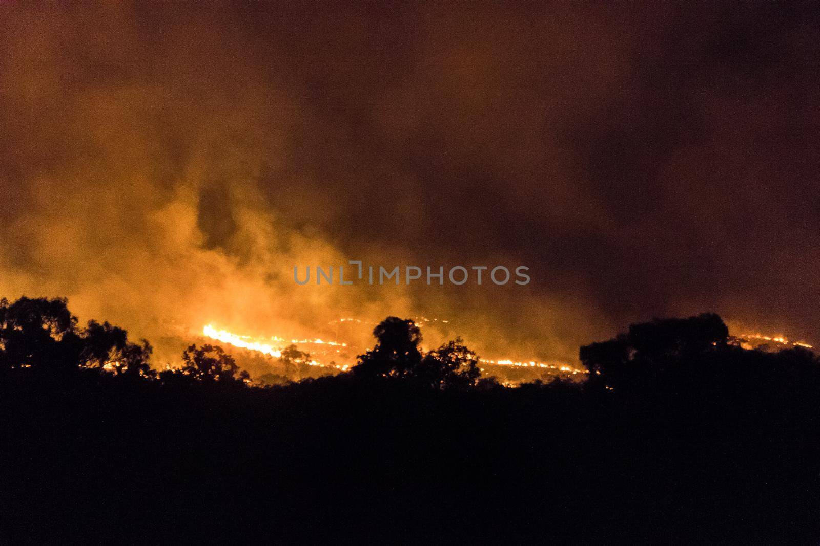 australian bushfire of a forrest at Night, nothern territory