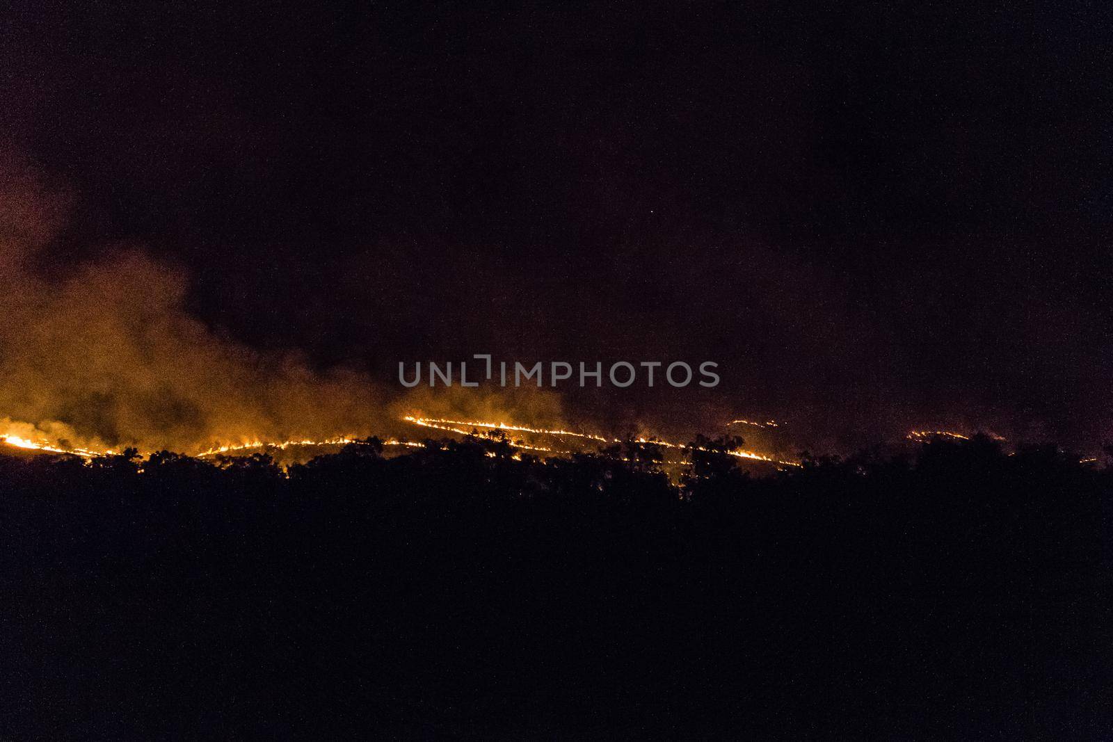 australian bushfire of a forrest at Night in the nothern territory by bettercallcurry