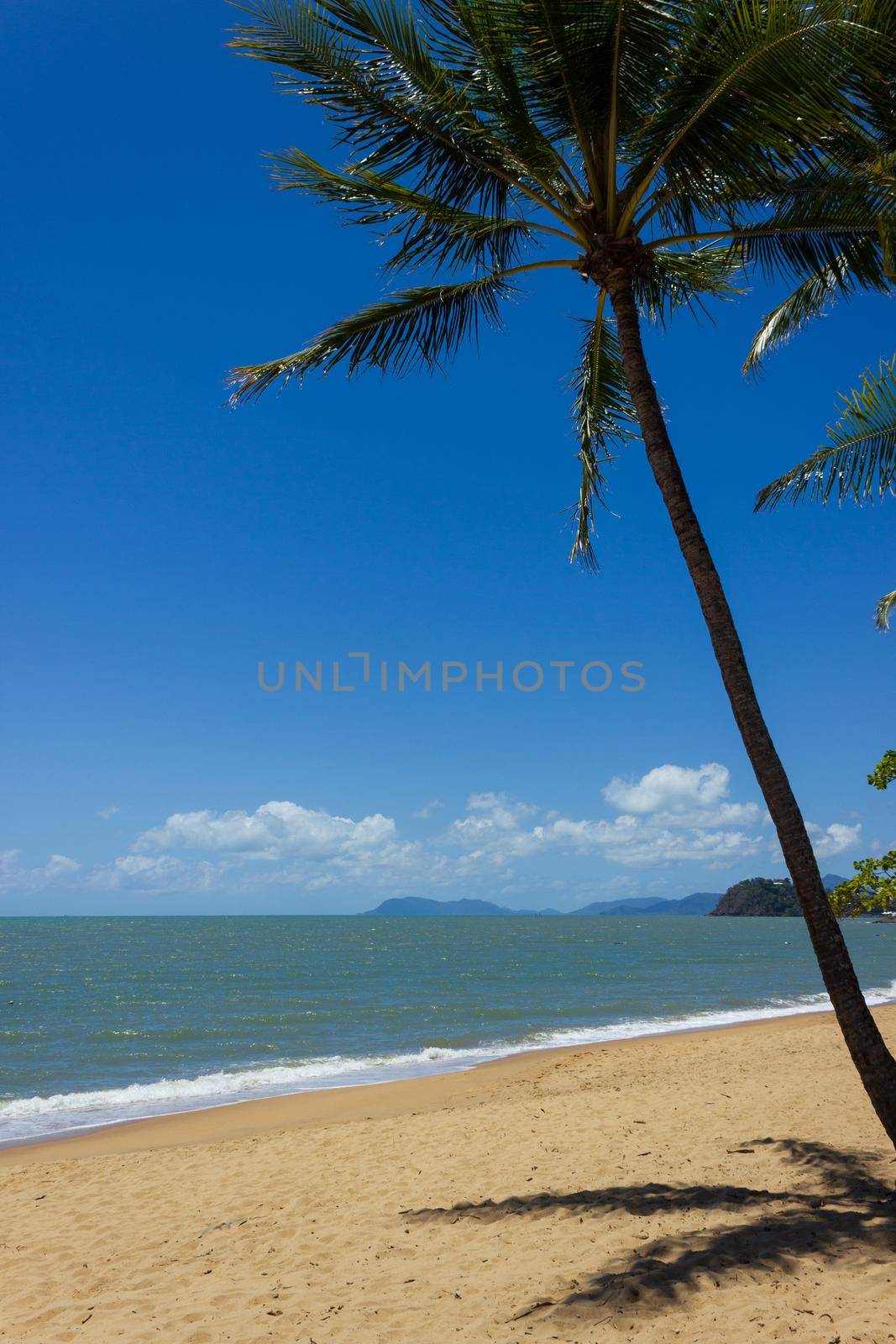 Ein schöner tropischer Strand mit Palmen in Nordaustralien, Clifton Beach, Queensland