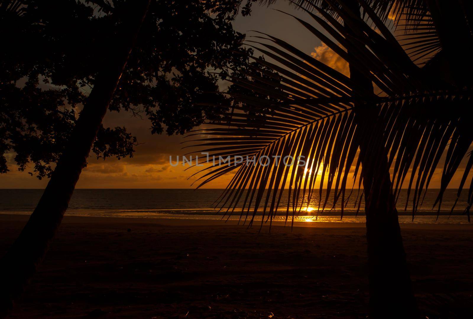 Sonnenaufgang bei Cape Tribulation in der Region Daintree im hohen Norden von Queensland. Cape Tribulation ist eine abgelegene Landzunge und ein Ziel für Ökotourismus im Nordosten von Queensland.