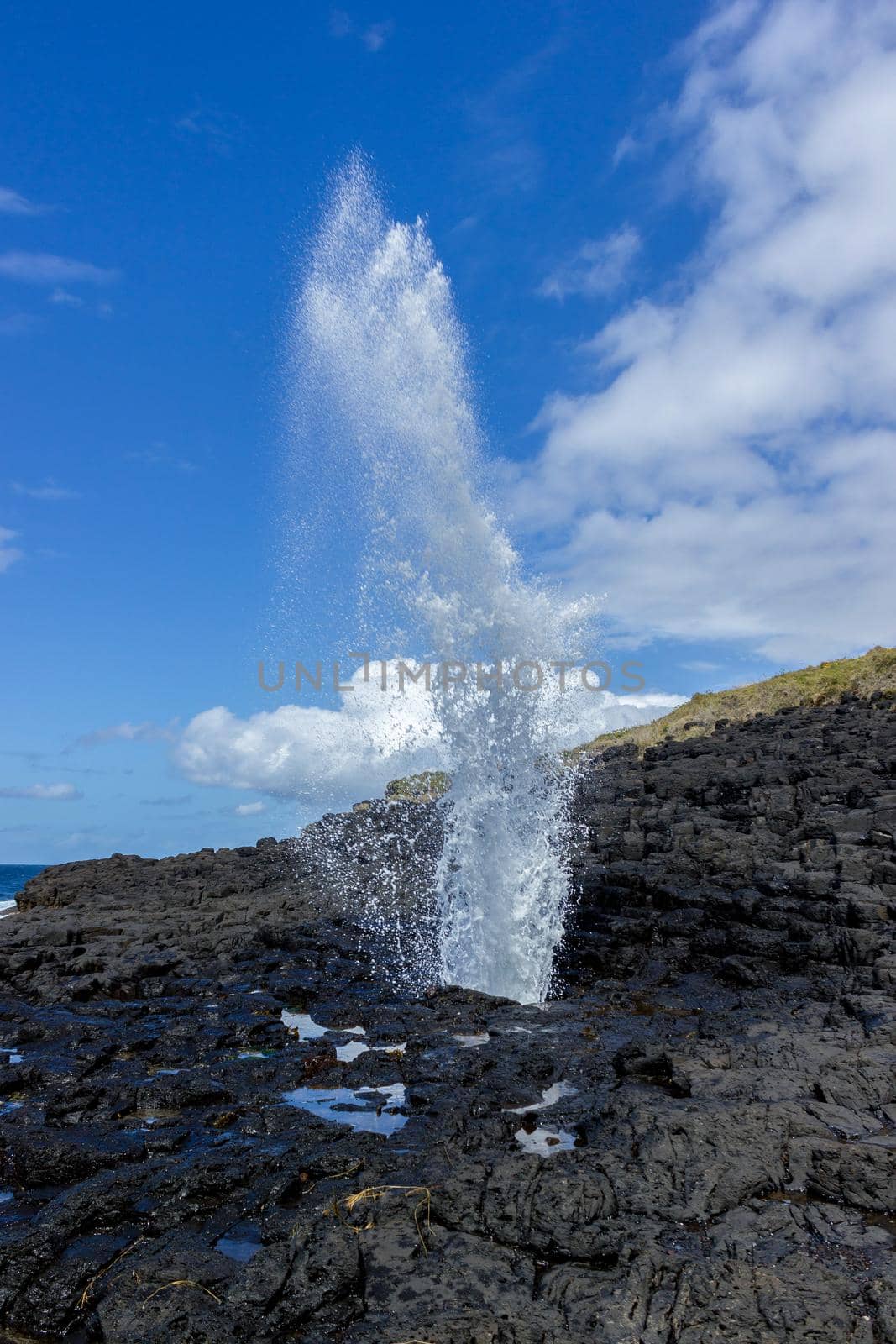 Little blowhole in Kiama on a moody sunny day with water fountain Jervis Bay, Australia by bettercallcurry