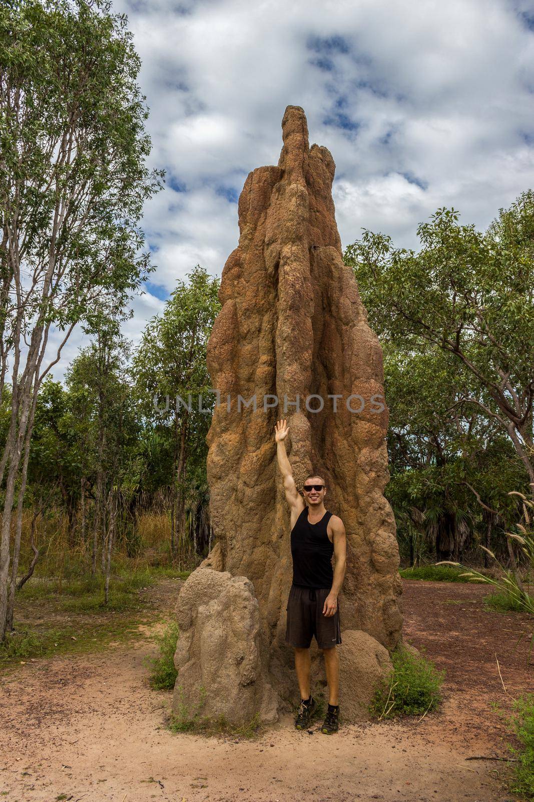 Termite Mound in Litchfield National Park, Northern Territory
