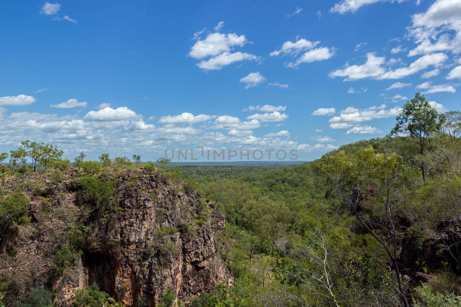 View from the top of the mountain in Litchfield and Kakadu National Park in Australia, showing a scenic grass landscapes with a few trees and bushes and termite hills and homes.