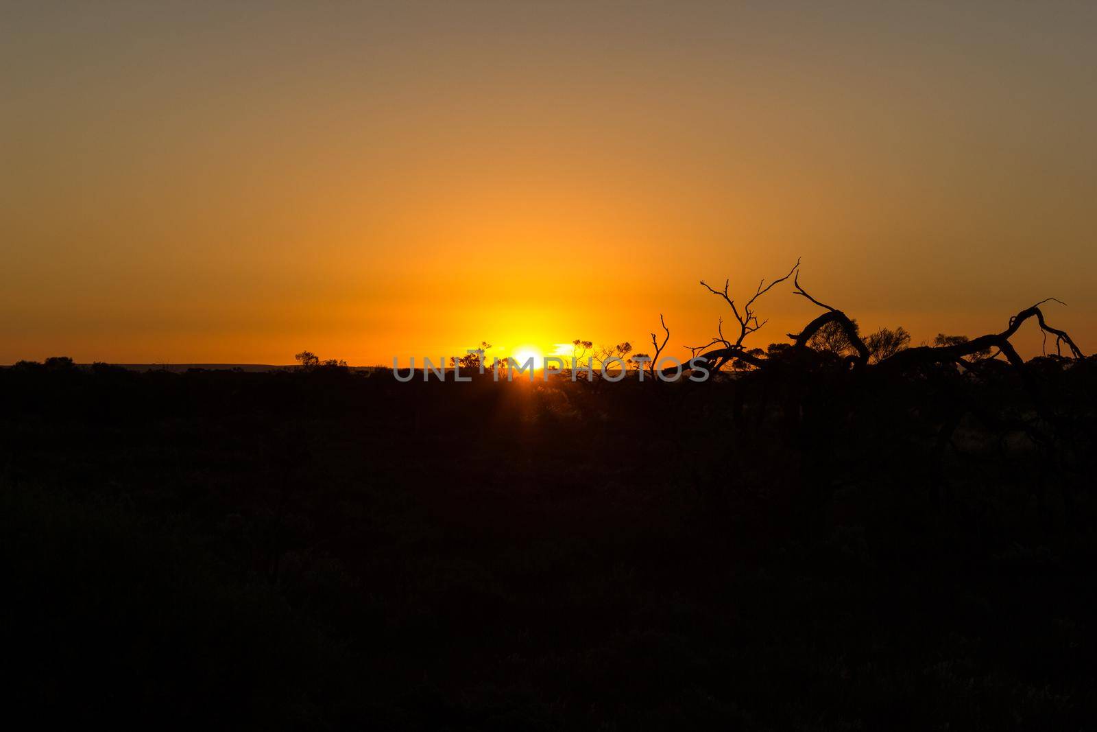 Sonnenuntergang - Outback, Australien by bettercallcurry