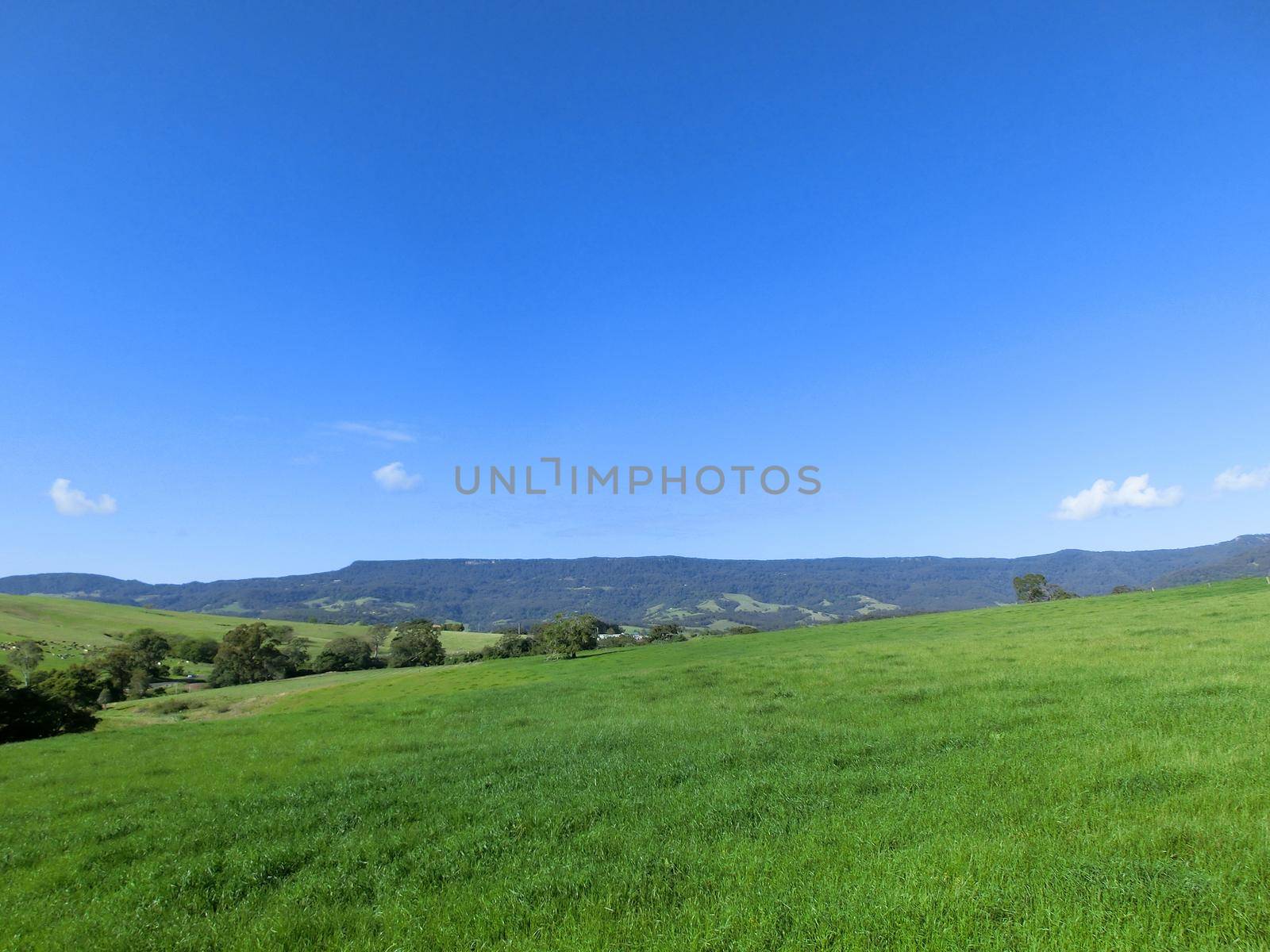 Green grass field on small hills and blue sky with clouds, Australia