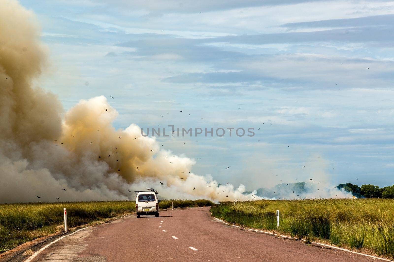 car driving to a controlled Bushfire in Kakadu National Park, with diffrent birds, Northern Territory, Australia by bettercallcurry