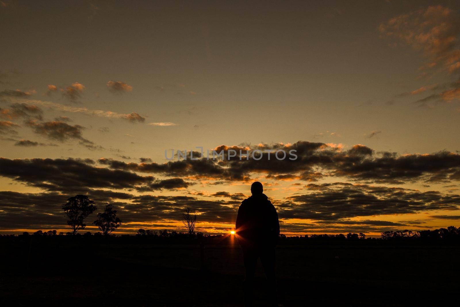 silhouette of young man during sunset in Australia with sillhouettes of trees, Cobram, Victoria, Australia by bettercallcurry