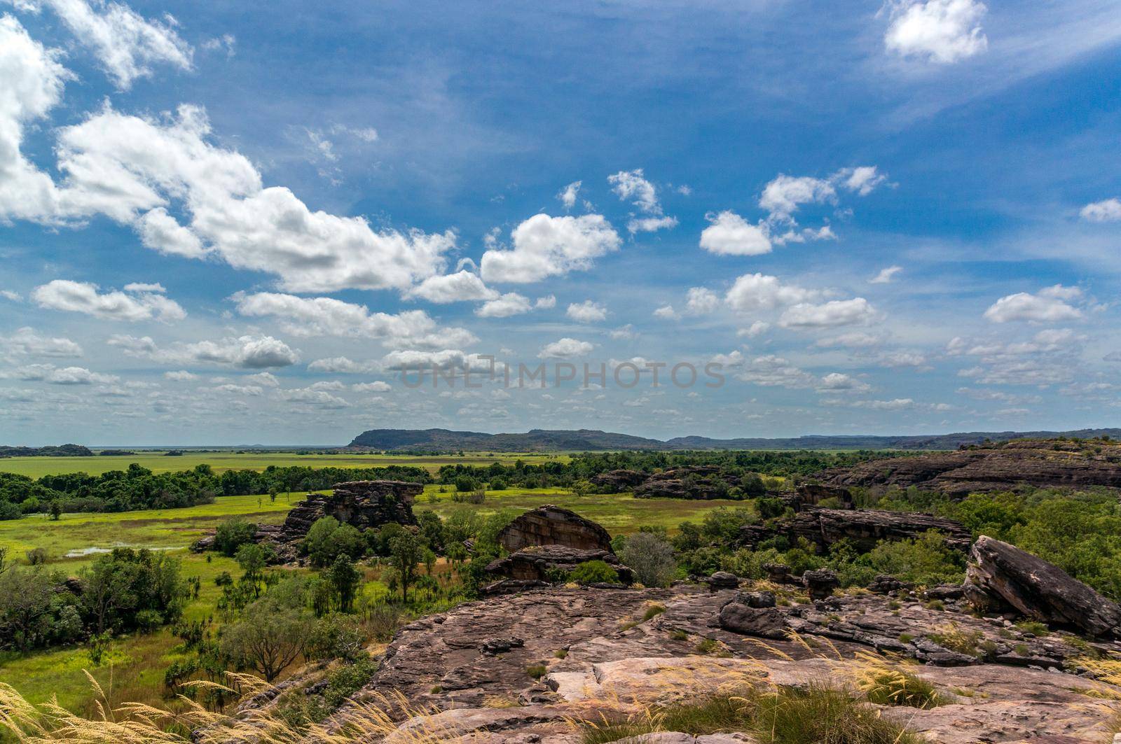 panorama from the Nadab Lookout in ubirr, kakadu national park - australia by bettercallcurry