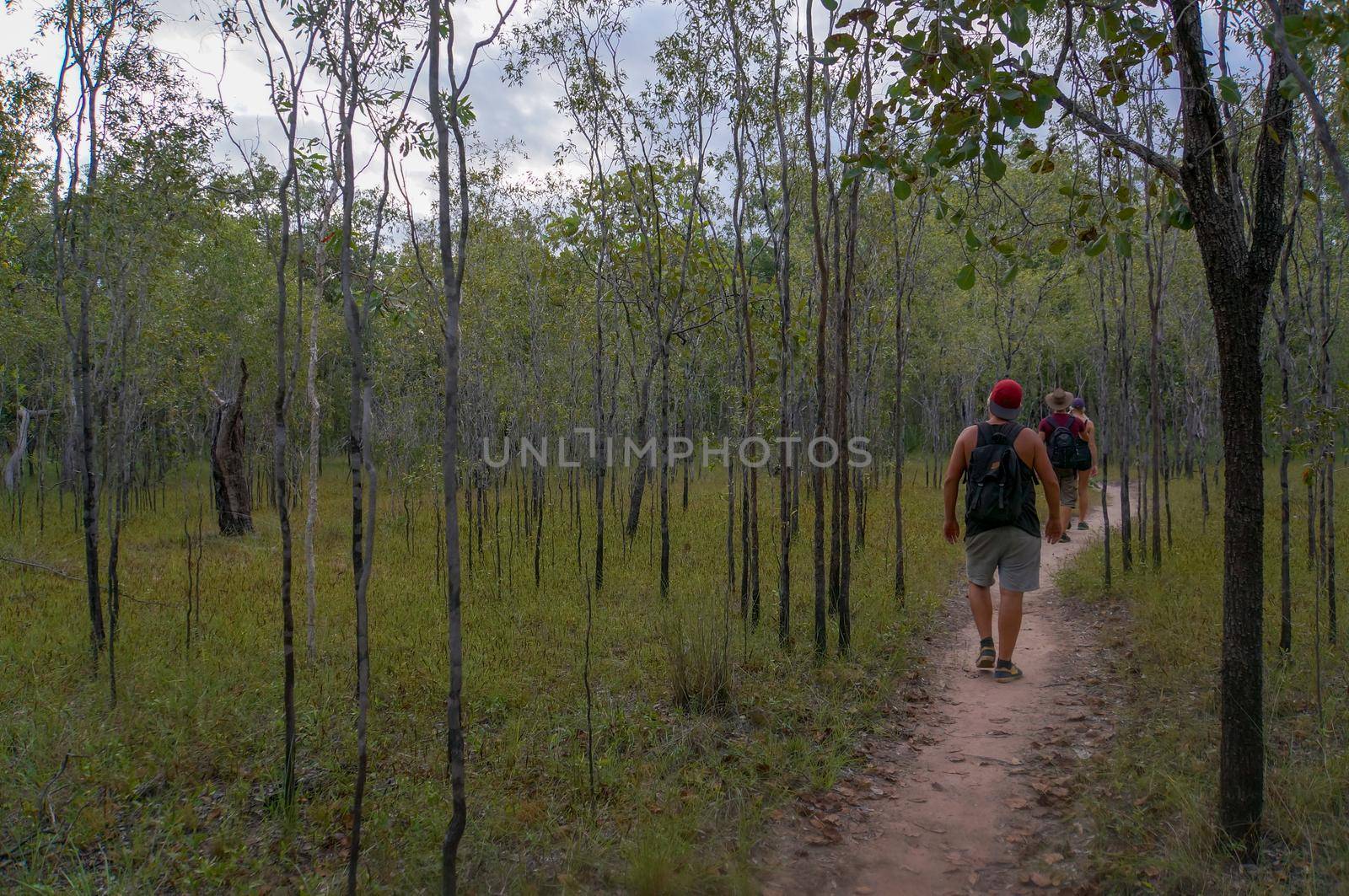 tourists hiking in kakadu national park, northern terotorry, northern territory, australia by bettercallcurry