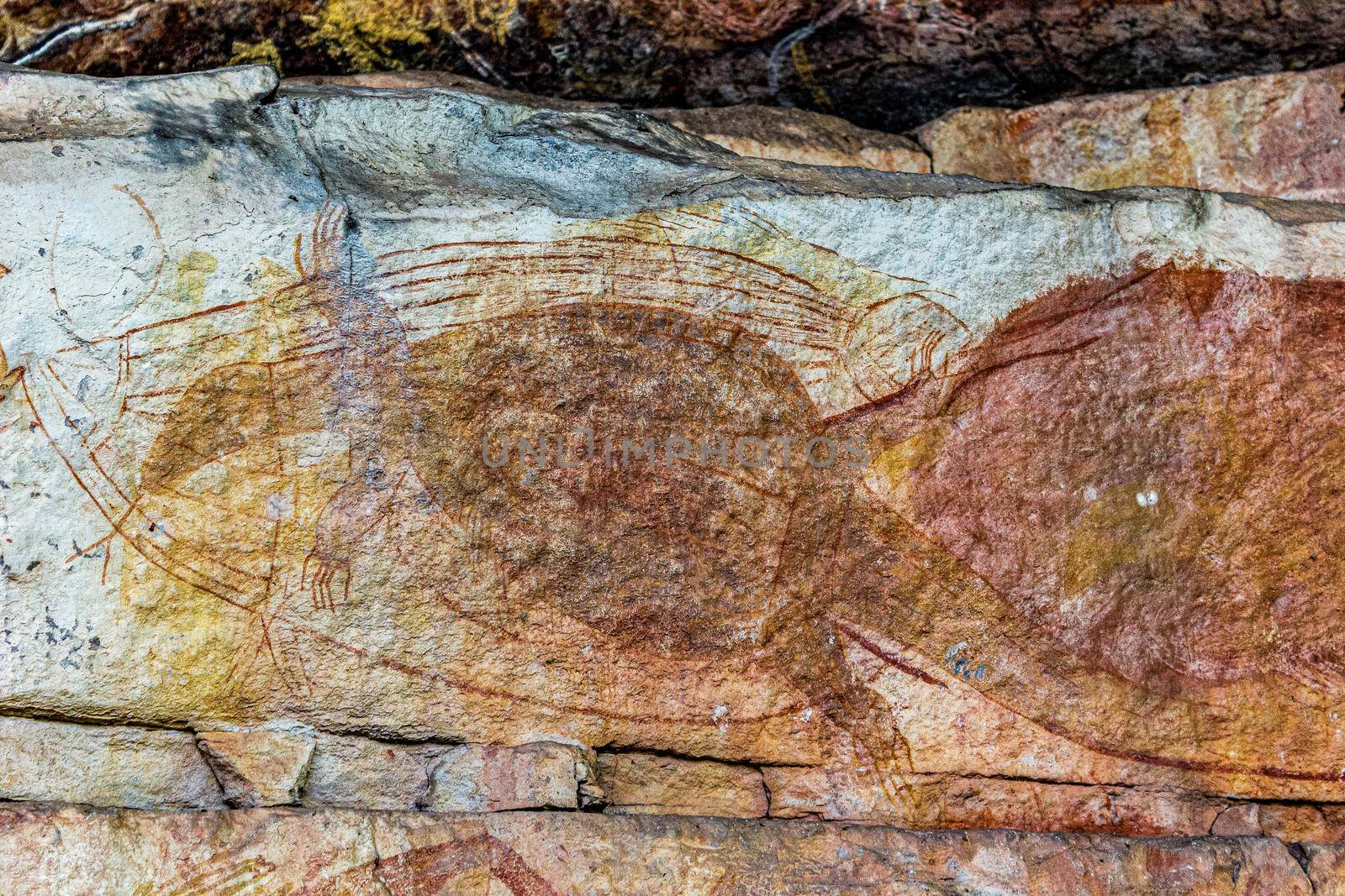 Ancient Aboriginal Art: hand prints, animal herds, spiral, Kakadu National Park, Australia by bettercallcurry