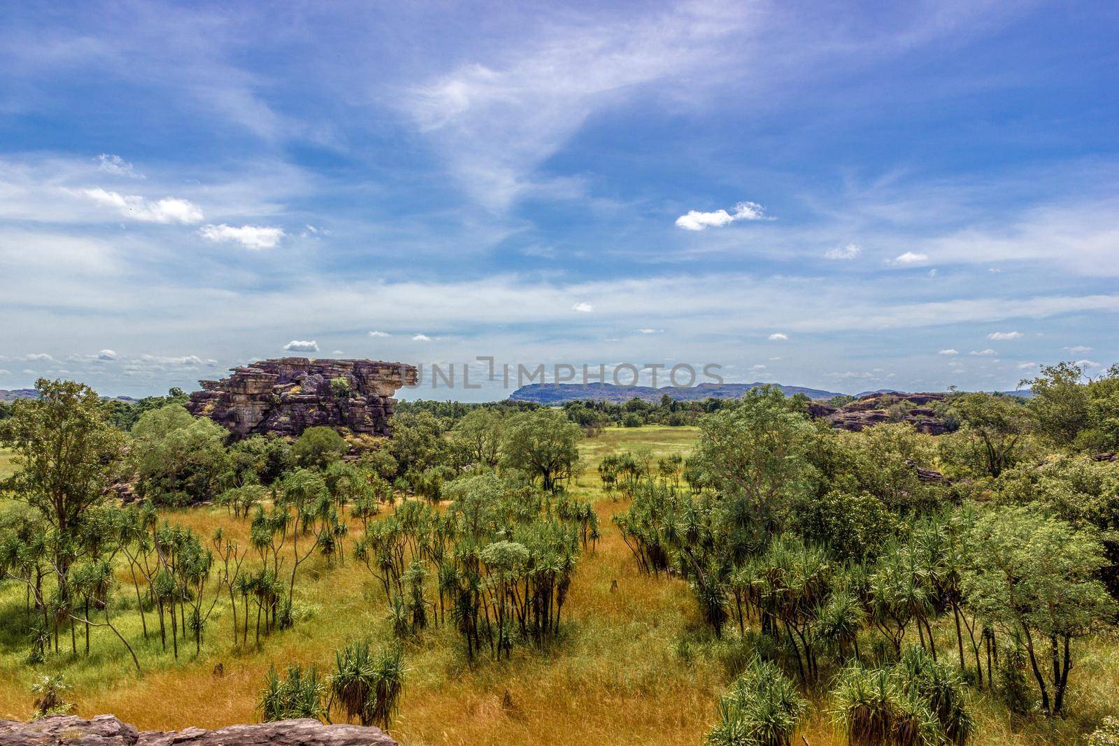 panorama from the Nadab Lookout in ubirr, kakadu national park - australia, northern territory by bettercallcurry